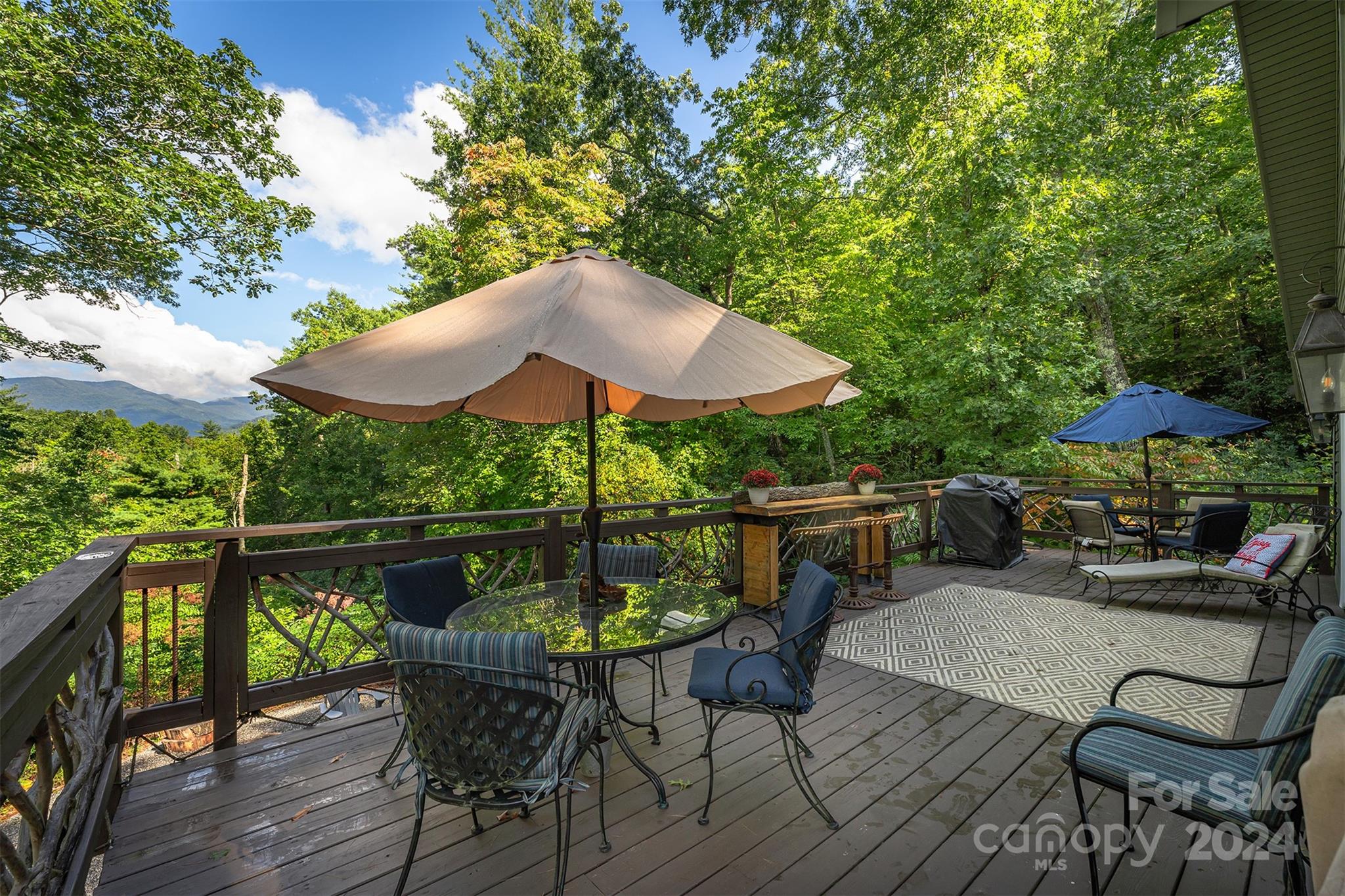 30 Last Resort Road Black Mountain NC 28711