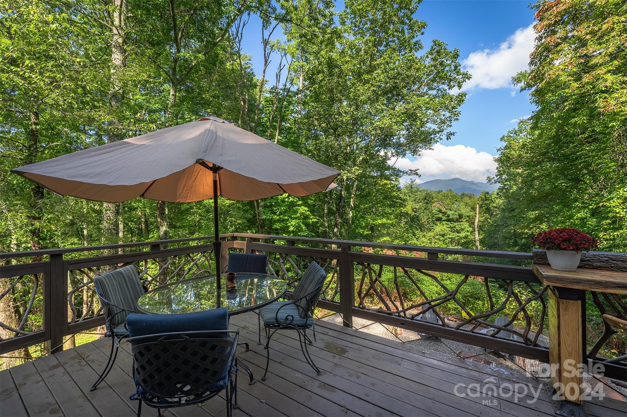 30 Last Resort Road Black Mountain NC 28711