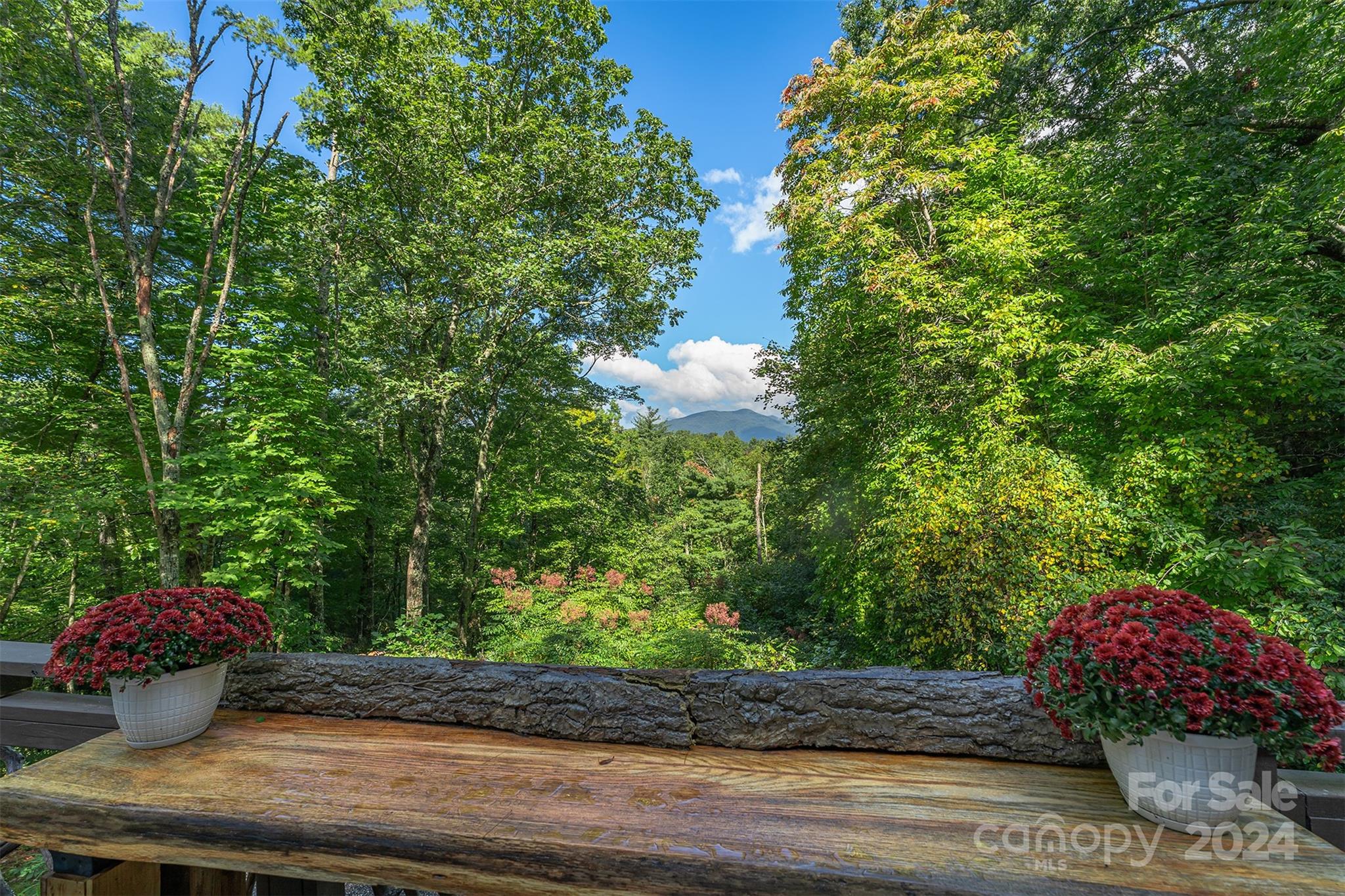 30 Last Resort Road Black Mountain NC 28711