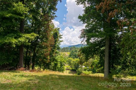 25 Elkins Branch Road Weaverville NC 28787