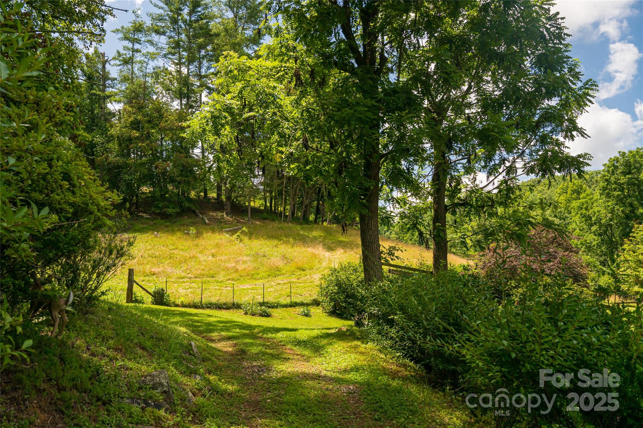 25 Elkins Branch Road Weaverville NC 28787