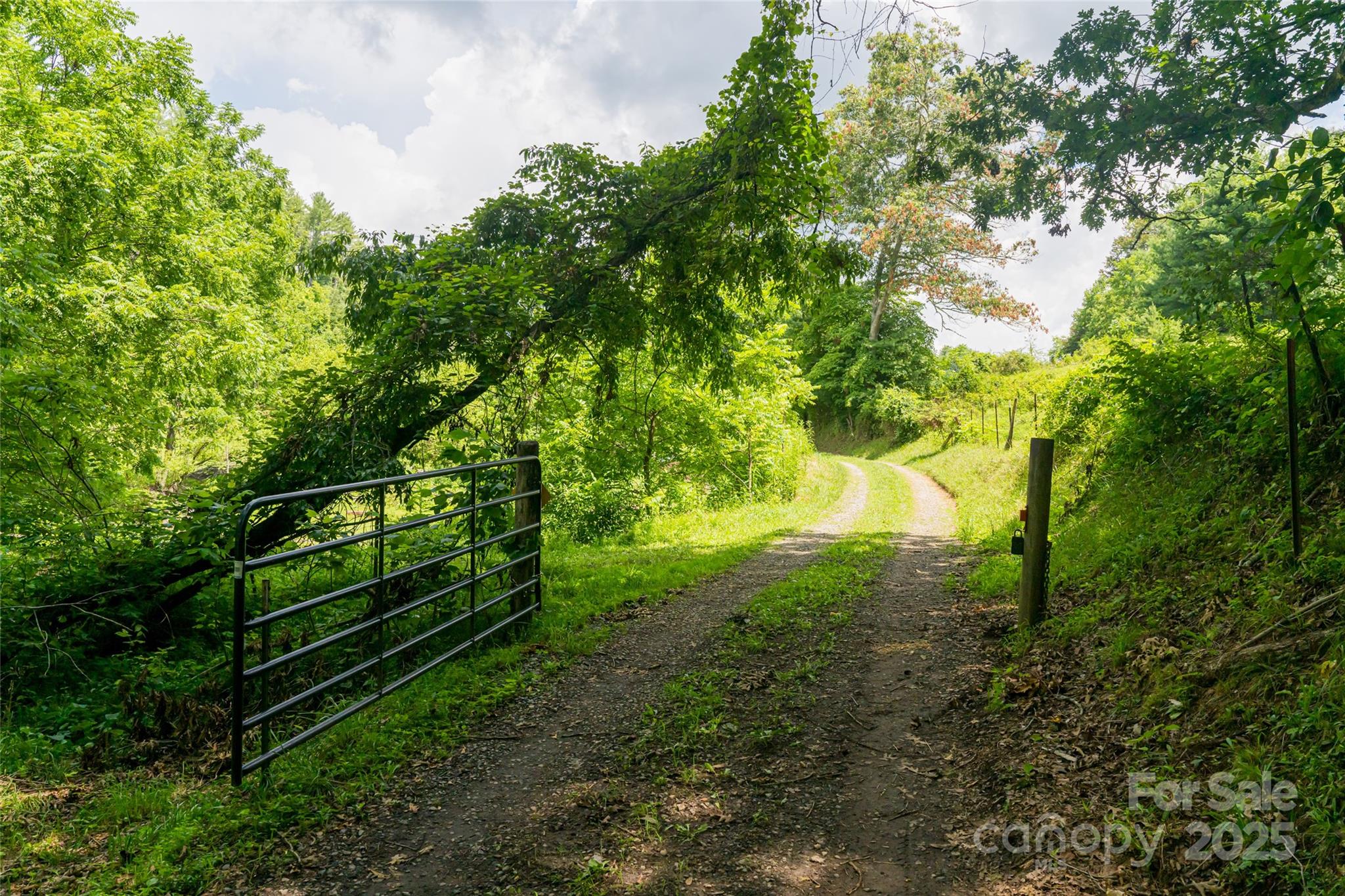 25 Elkins Branch Road Weaverville NC 28787