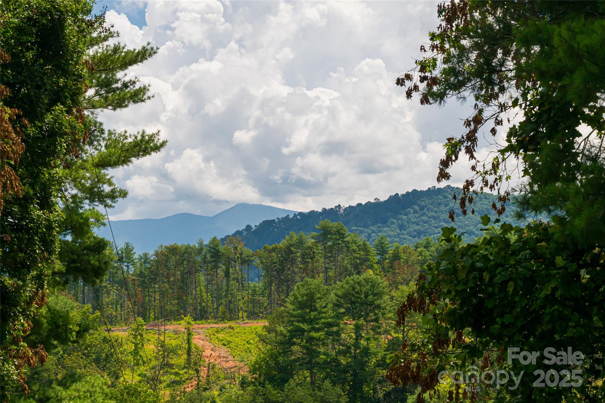 25 Elkins Branch Road Weaverville NC 28787