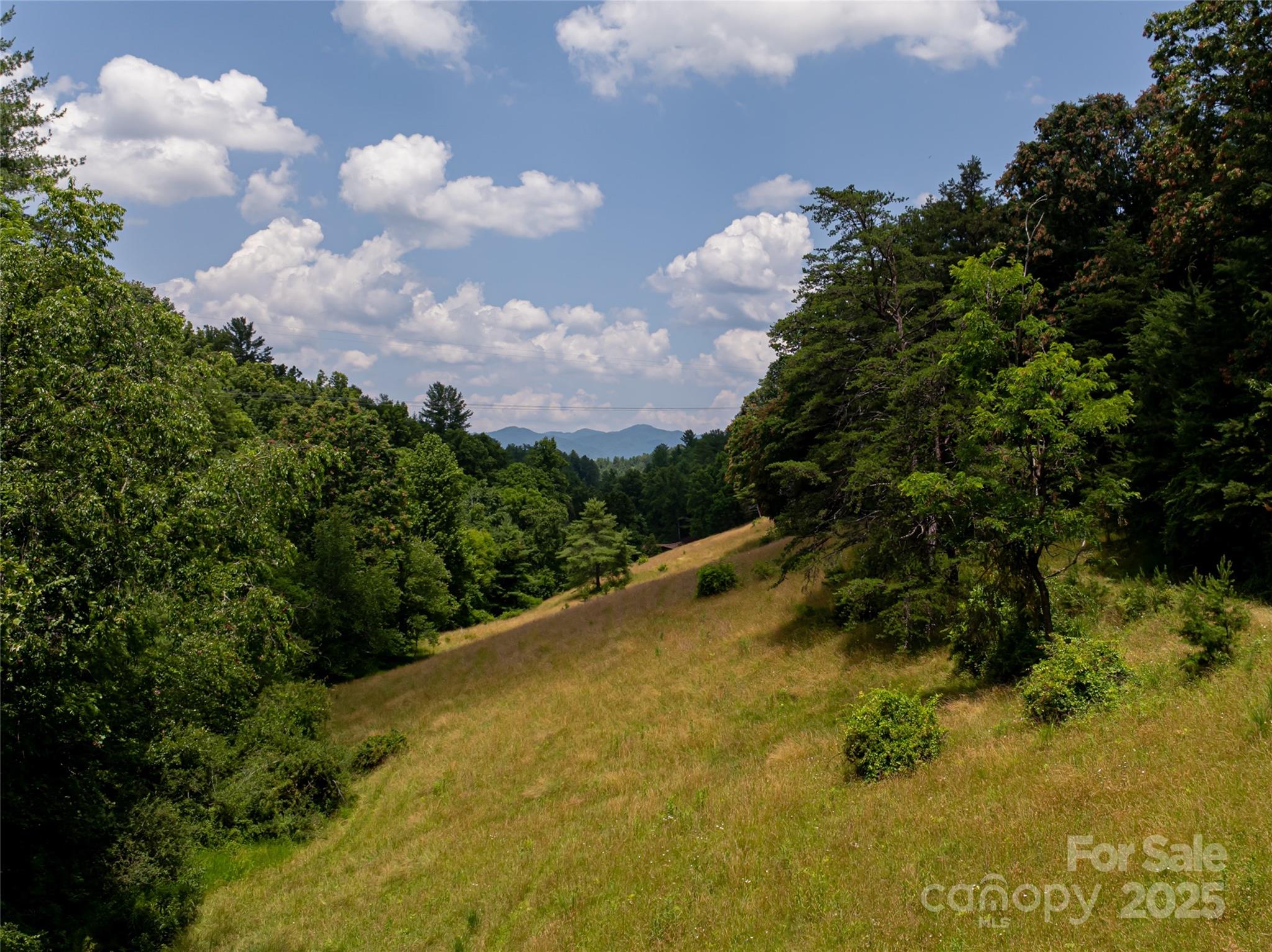 25 Elkins Branch Road Weaverville NC 28787