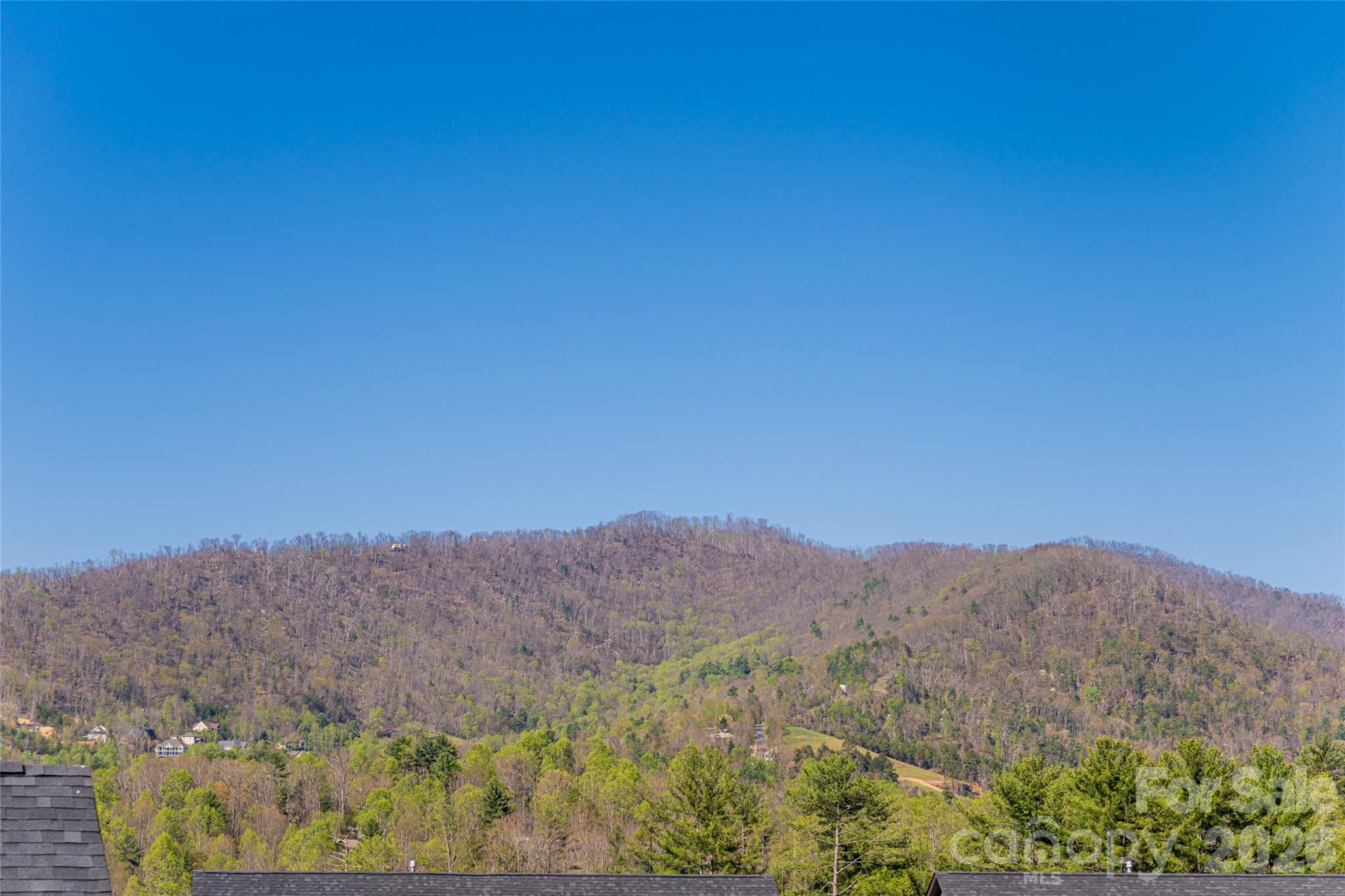 508 Rosebud Orchid Way Weaverville NC 28787