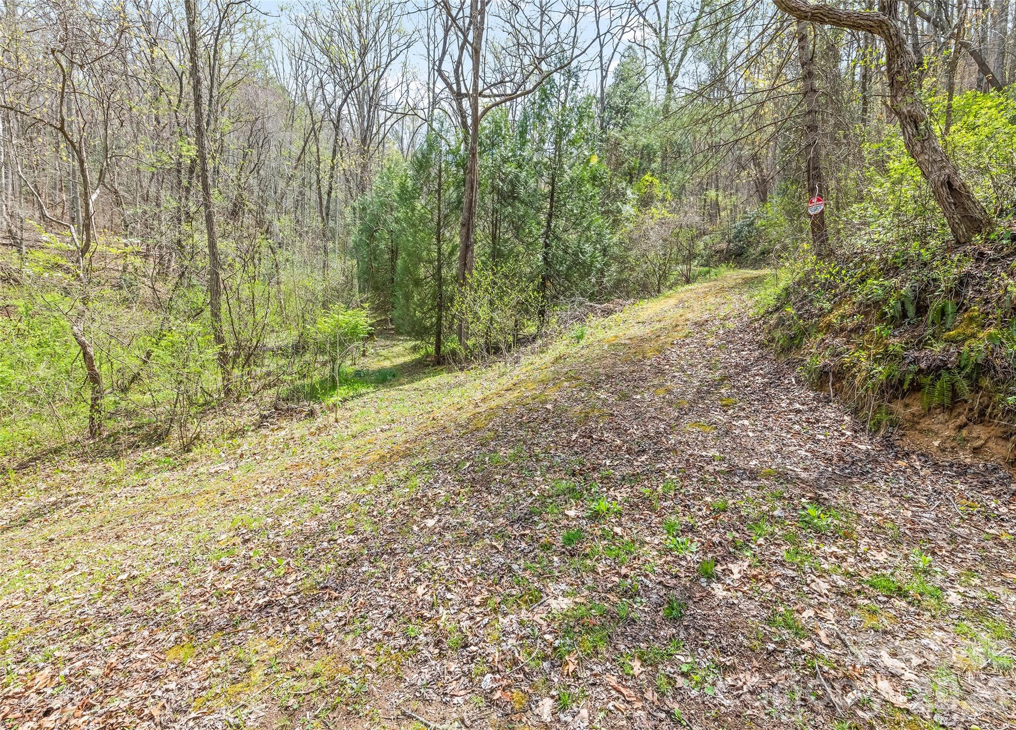 Cullowhee NC 28723