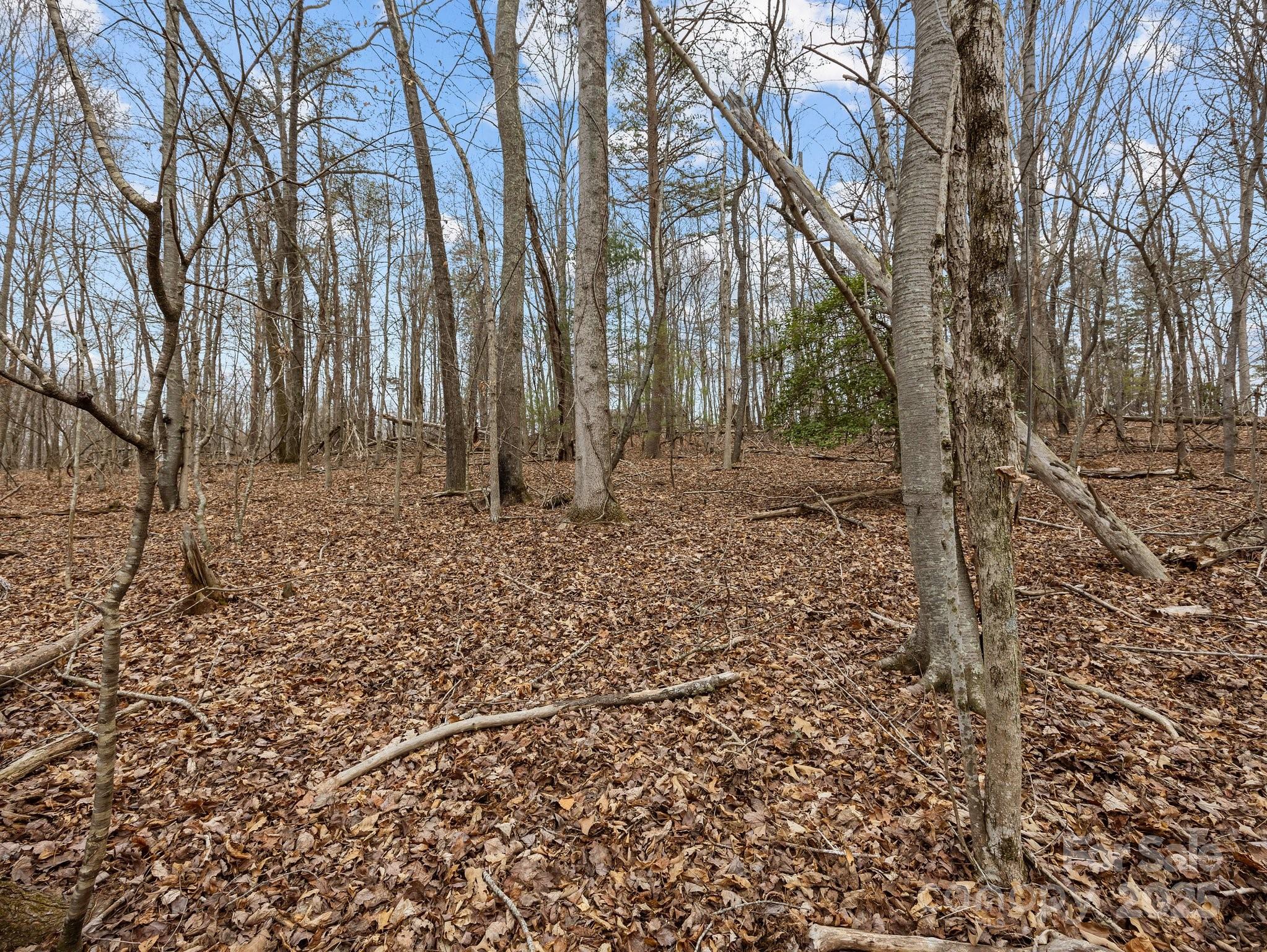 349 Youngs Drive Extension Candler NC 28715