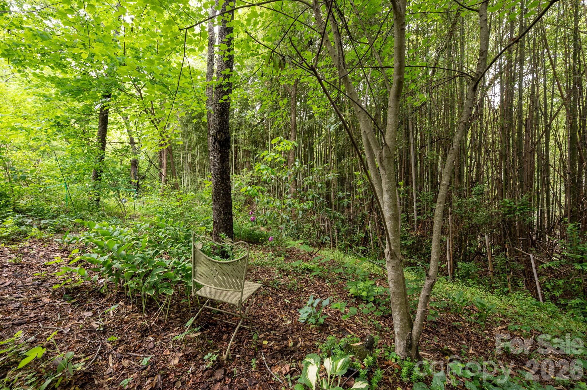 181 Glendale Avenue Asheville NC 28803