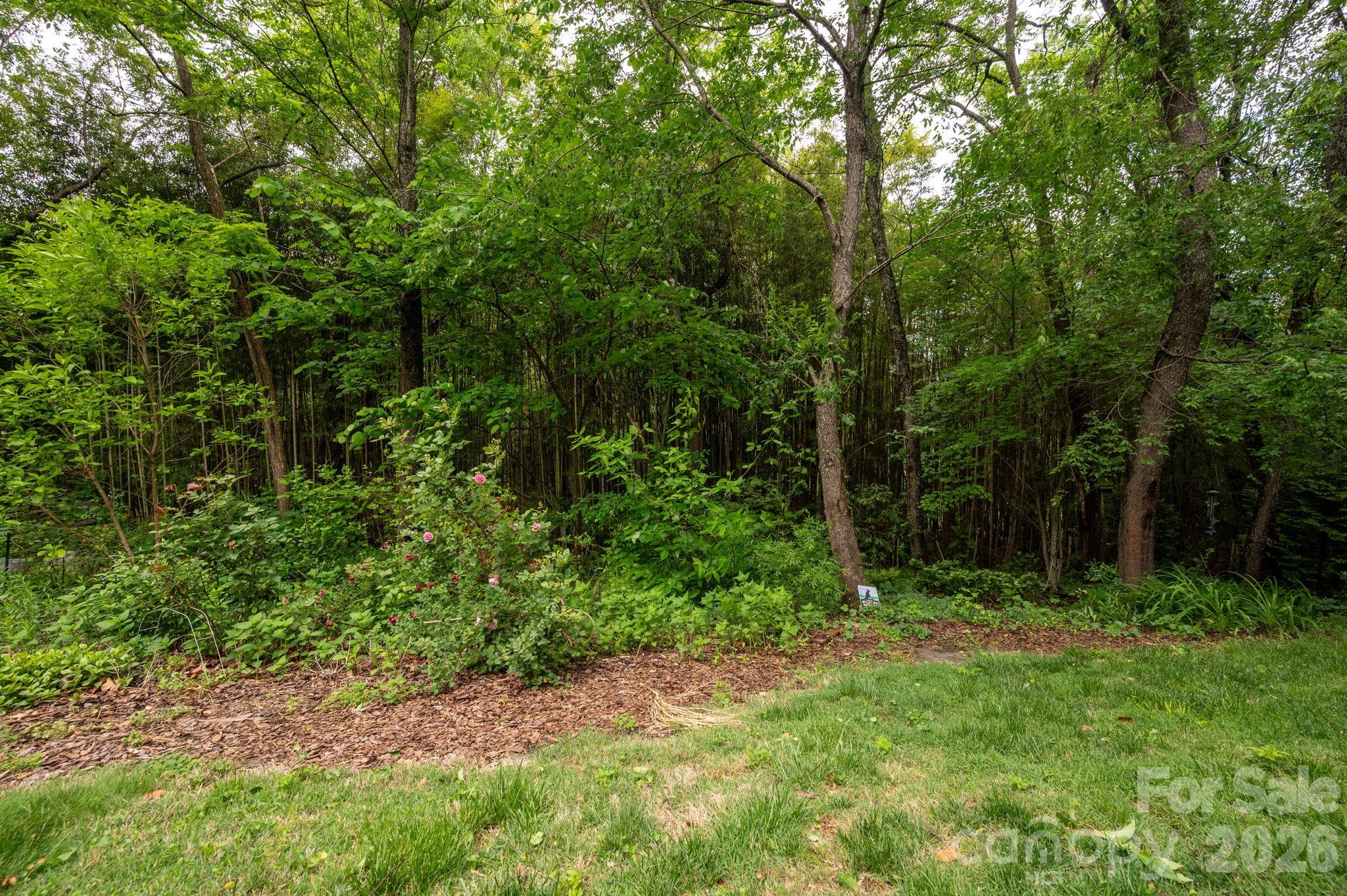 181 Glendale Avenue Asheville NC 28803