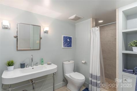 1002 Coves Pheasant Court Biltmore Lake NC 28715