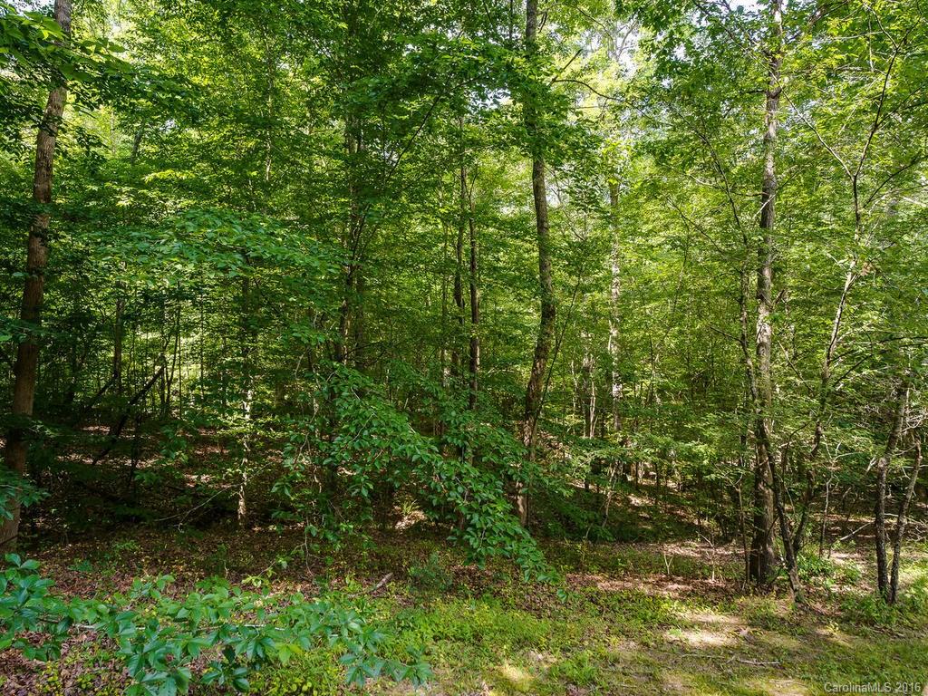 715 Lochaven Road Waxhaw NC 28173