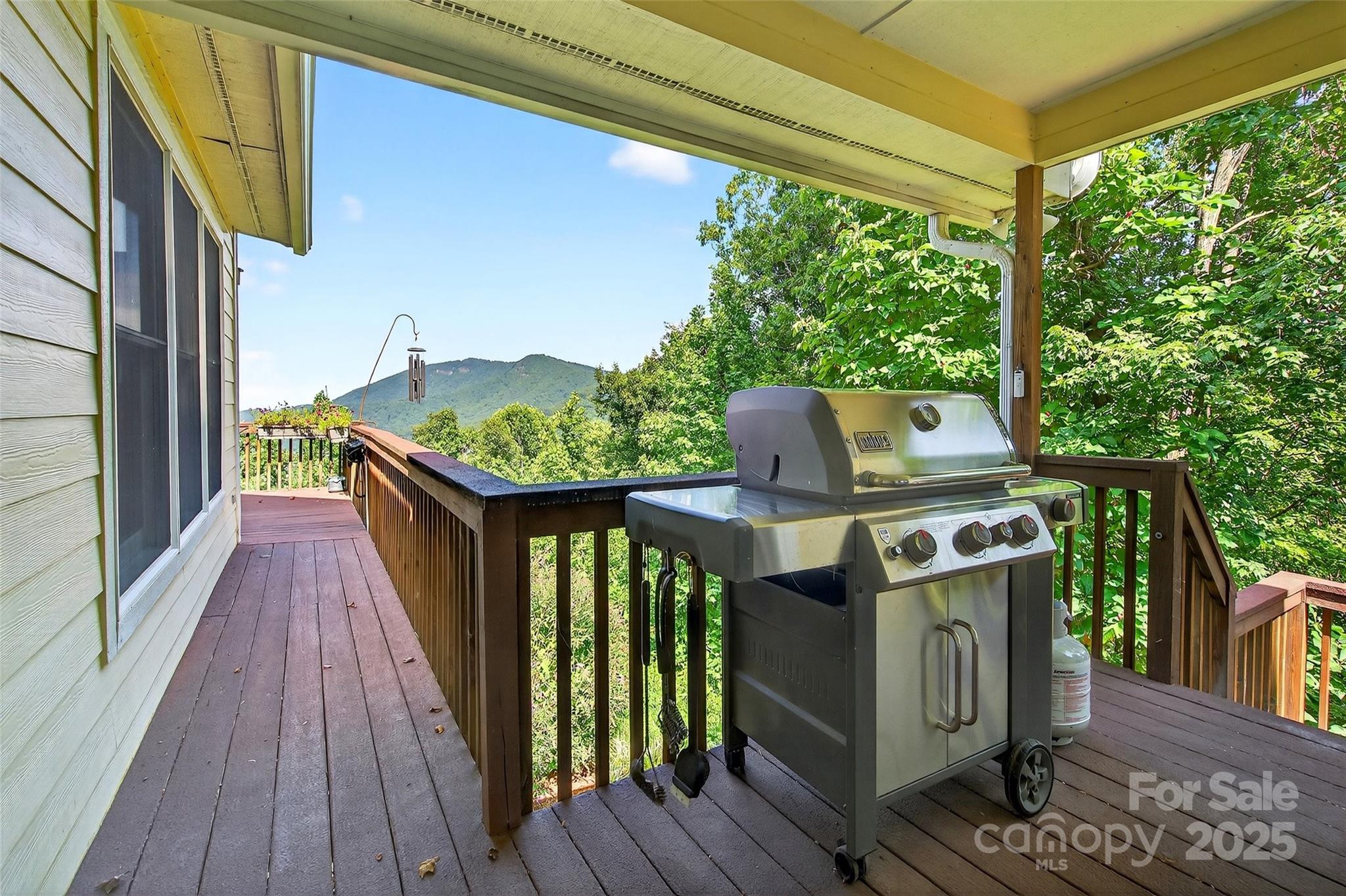 60 Wildflower Lane Old Fort NC 28762