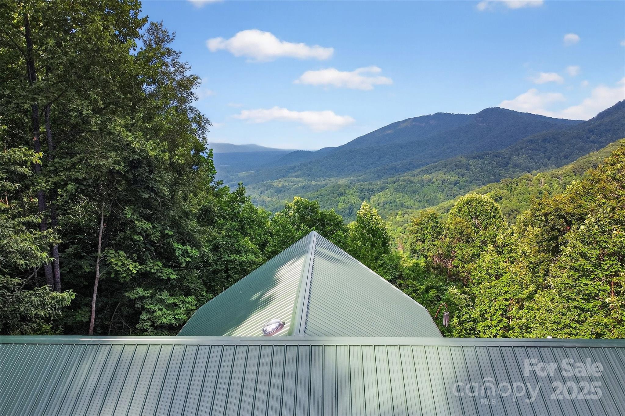 60 Wildflower Lane Old Fort NC 28762