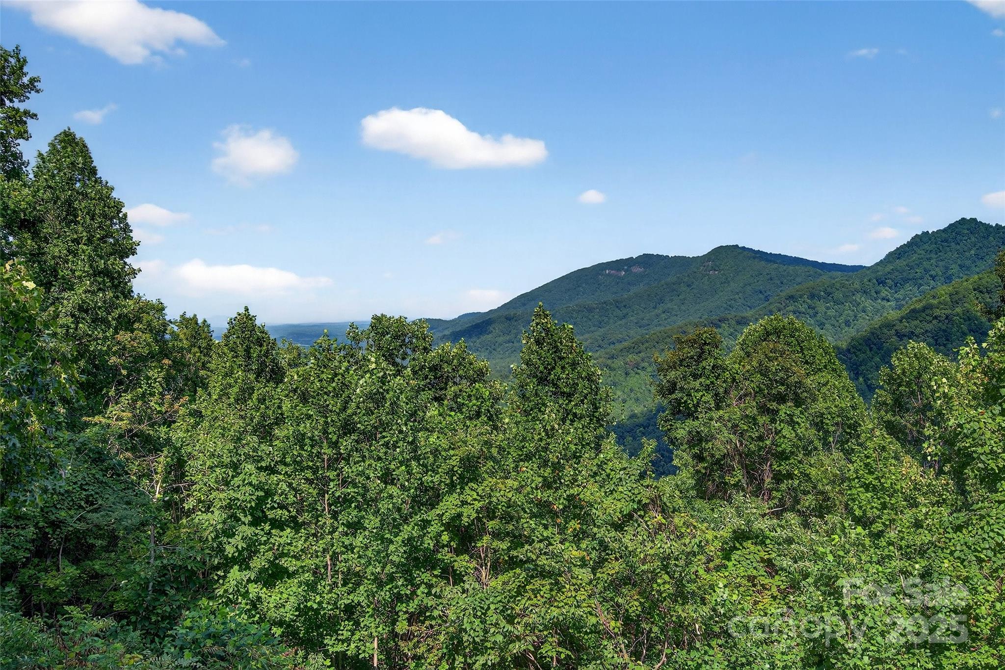 60 Wildflower Lane Old Fort NC 28762