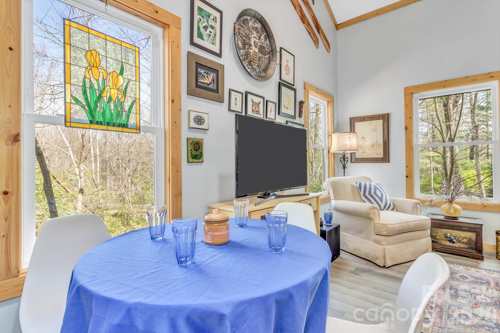 74 S Alta Vista Drive Saluda NC 28773