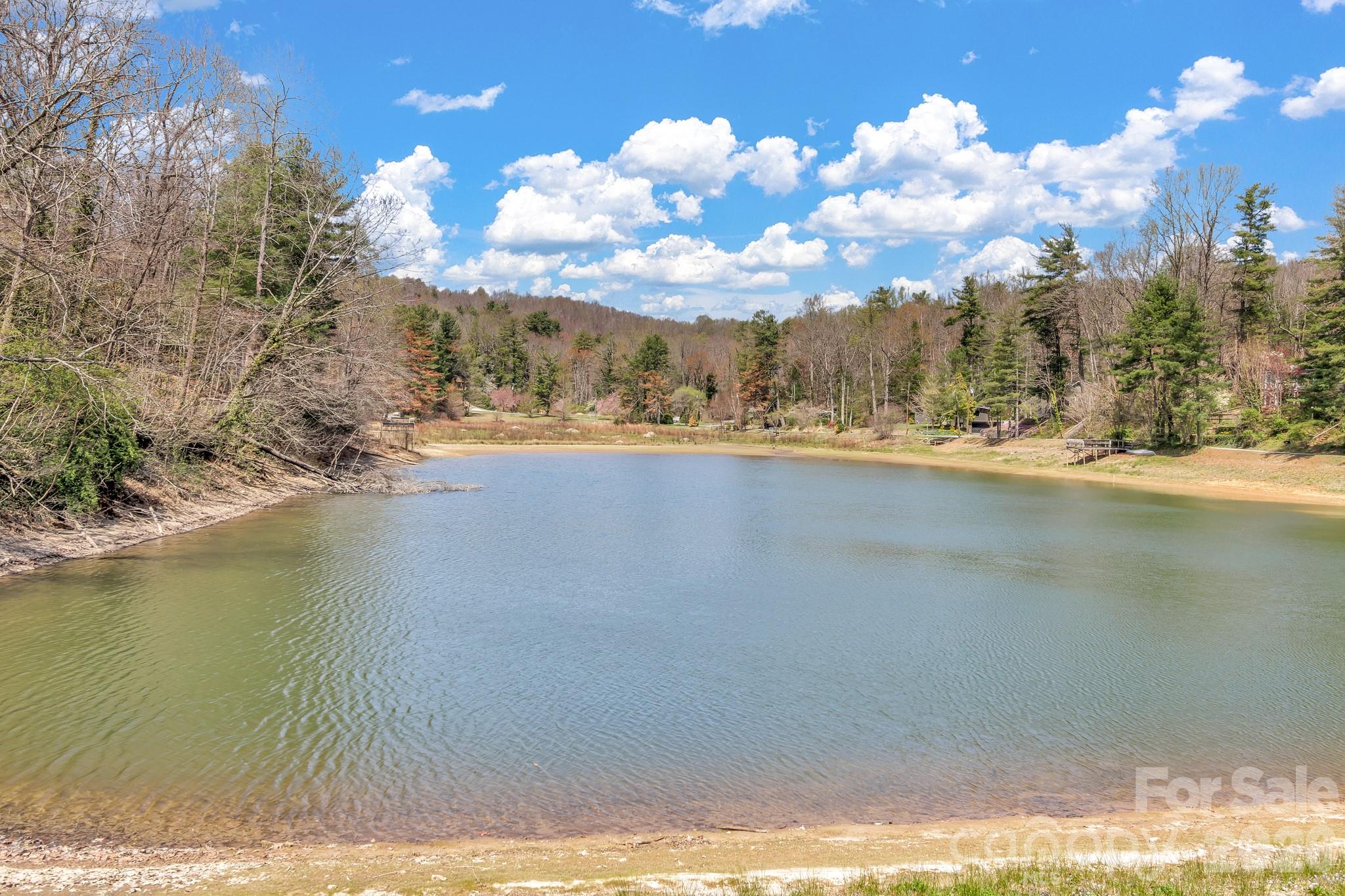 74 S Alta Vista Drive Saluda NC 28773