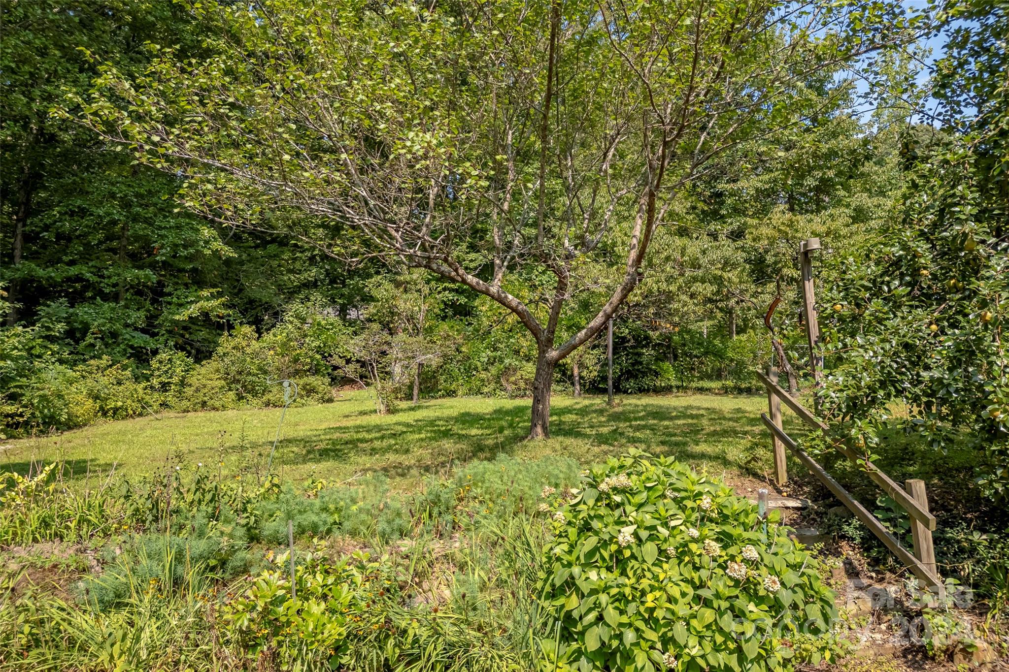 300 Kenilworth Road Asheville NC 28803