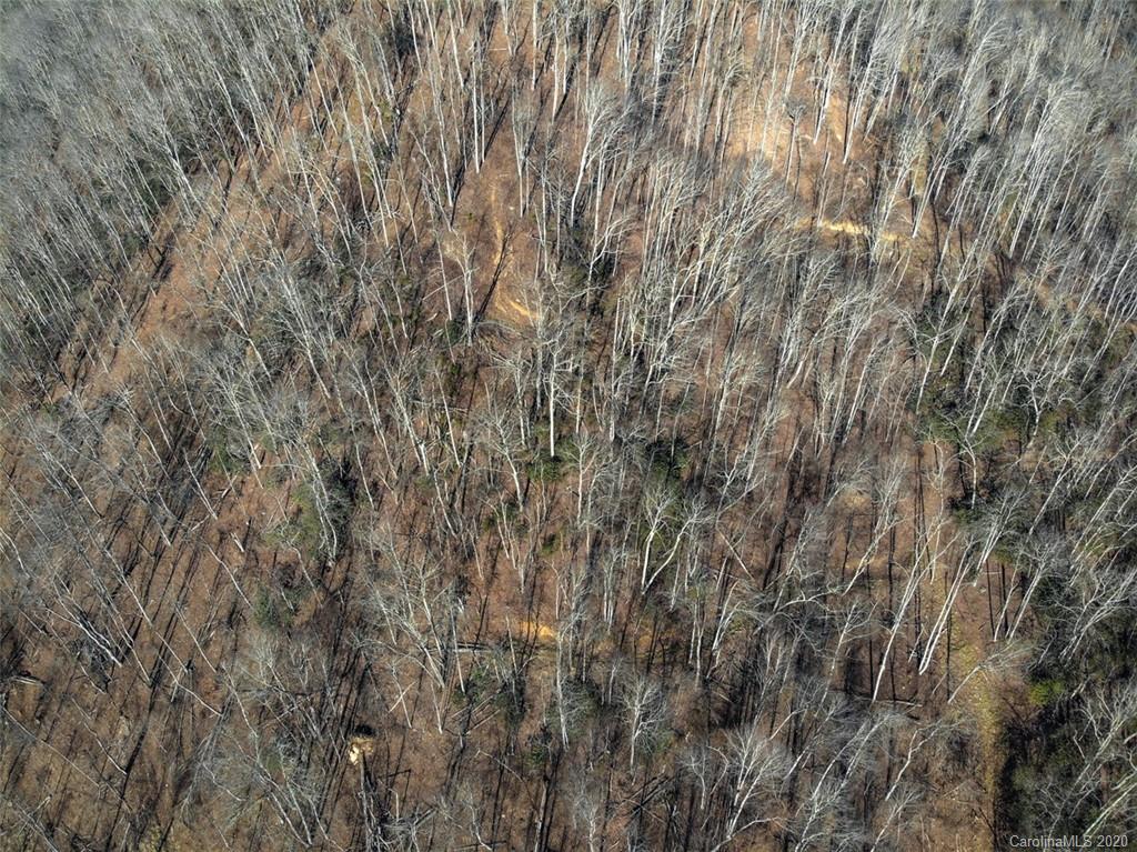 652 Roaring Creek Road Newland NC 28657