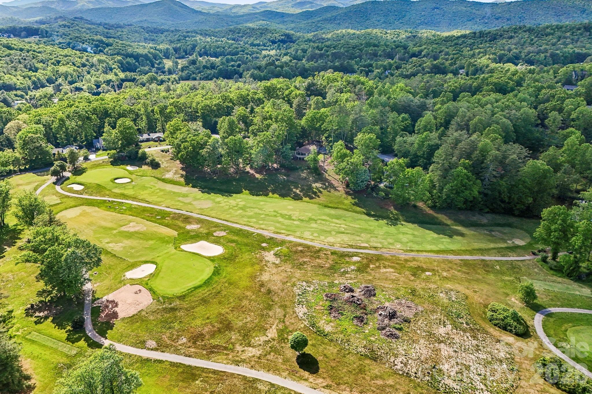 3 Greenbriar Woods Circle Etowah NC 28729