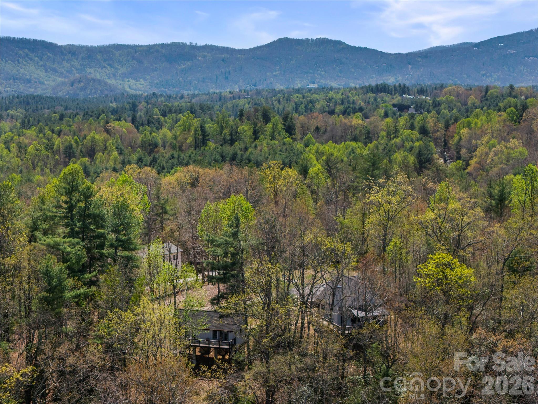 156 Ellerslie Acre Hendersonville NC 28739