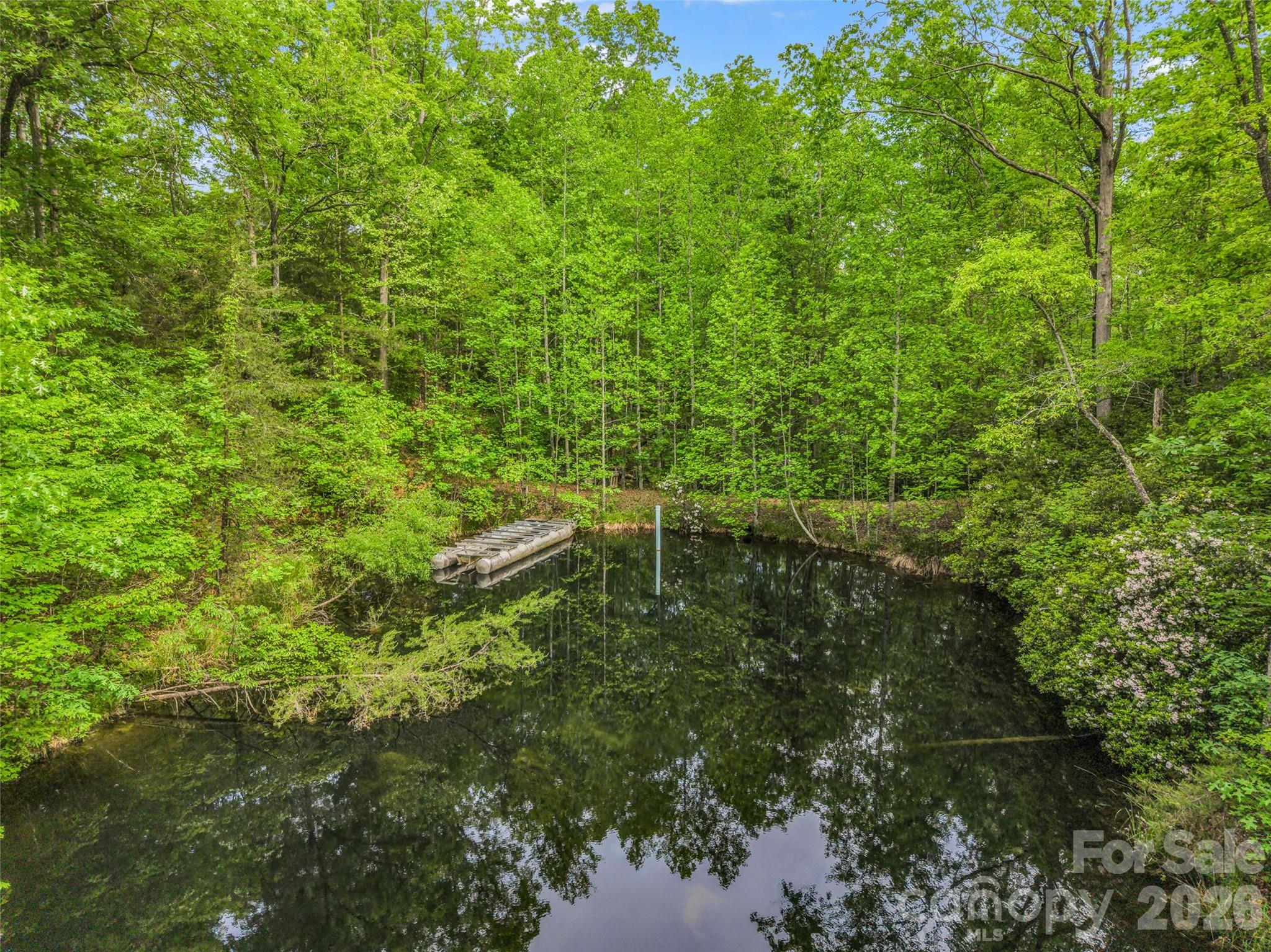 174 Rock Ridge Lake Lure NC 28746