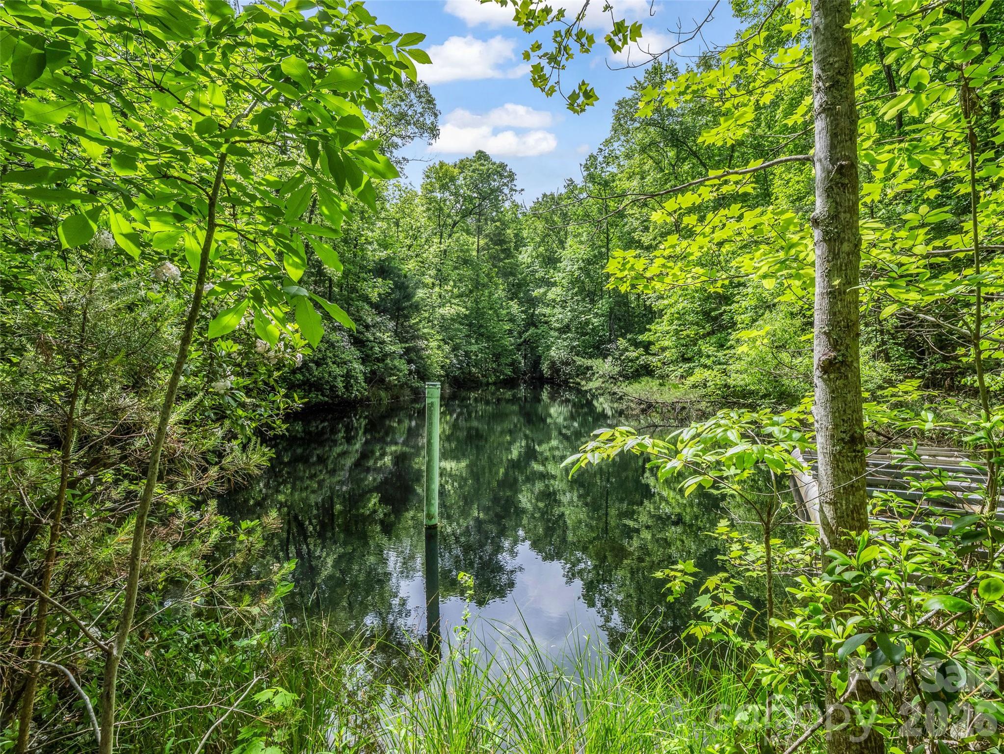 174 Rock Ridge Lake Lure NC 28746