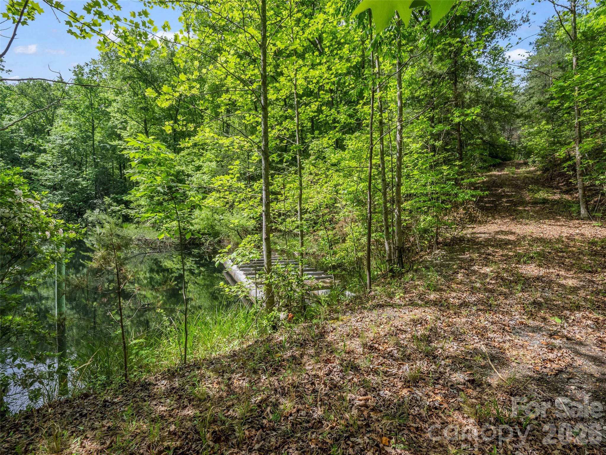 174 Rock Ridge Lake Lure NC 28746