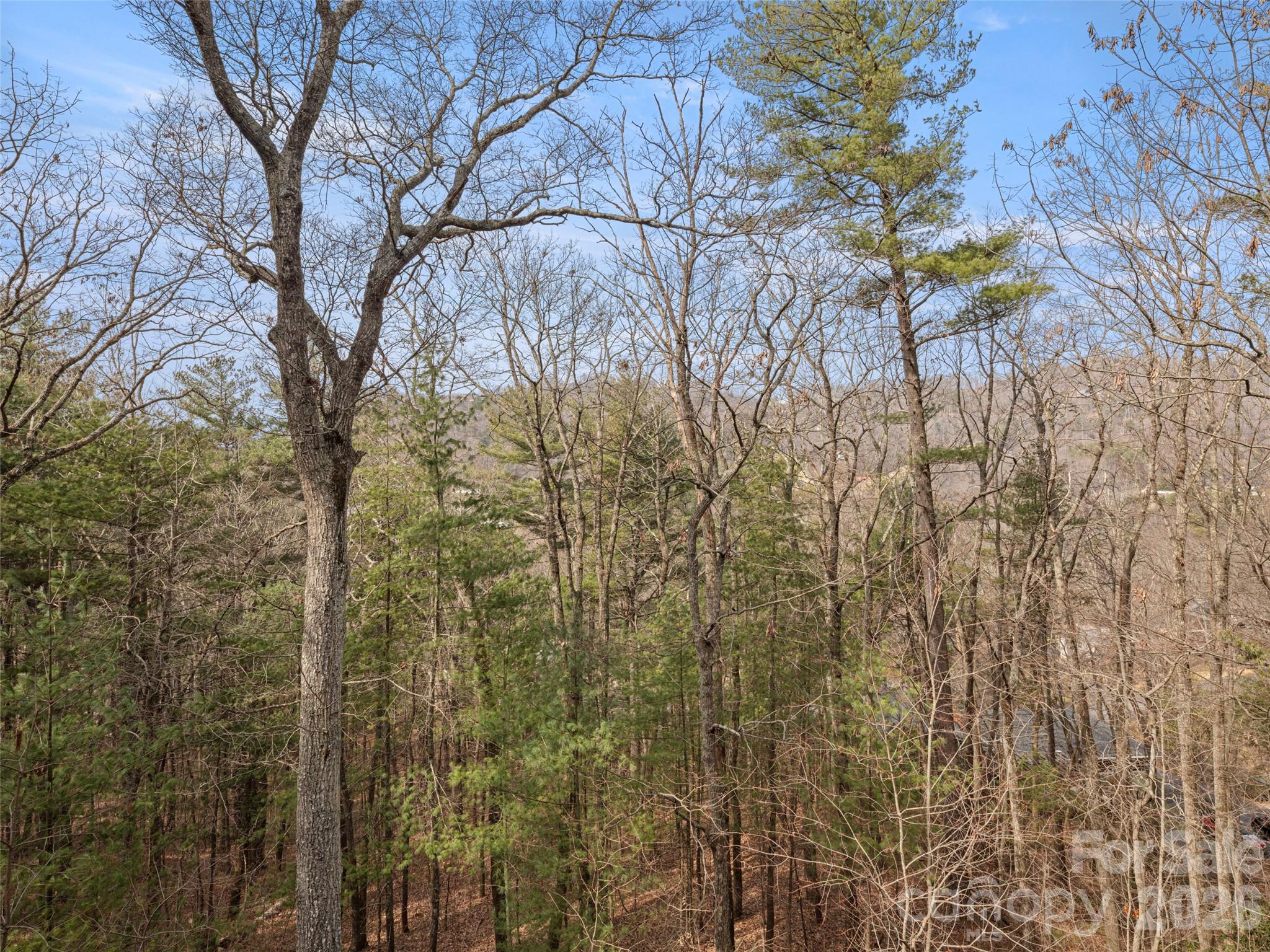 9 Stegall Lane Asheville NC 28805