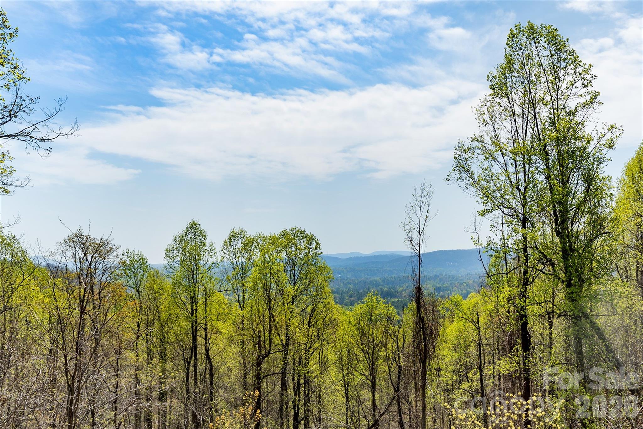 172 Sunny Ridge Road Hendersonville NC 28739