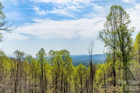 172 Sunny Ridge Road Hendersonville NC 28739