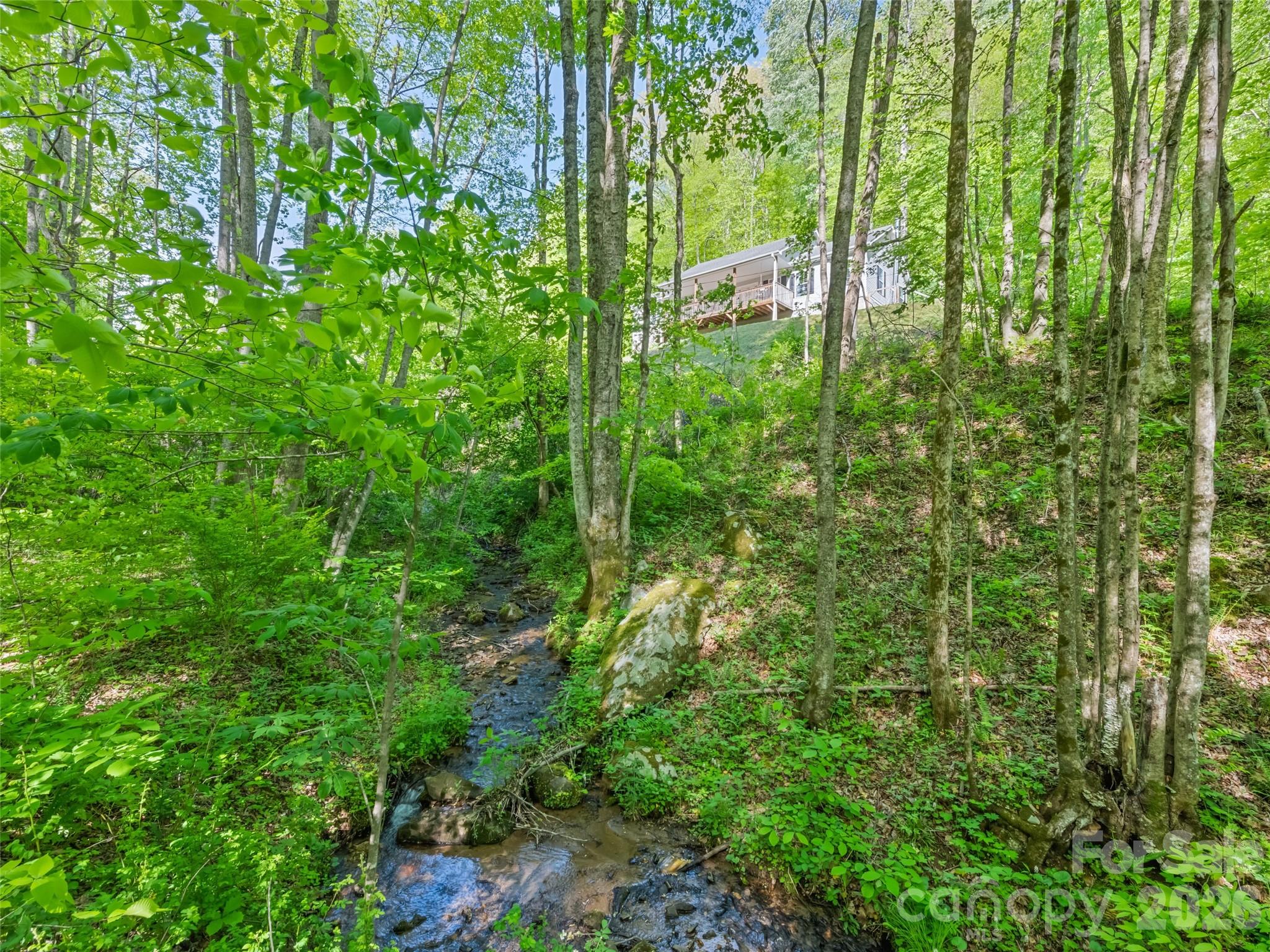 114 Cool Water Trail Sylva NC 28779