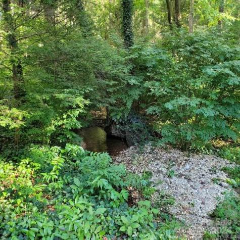 240 Christ School Road Arden NC 28704