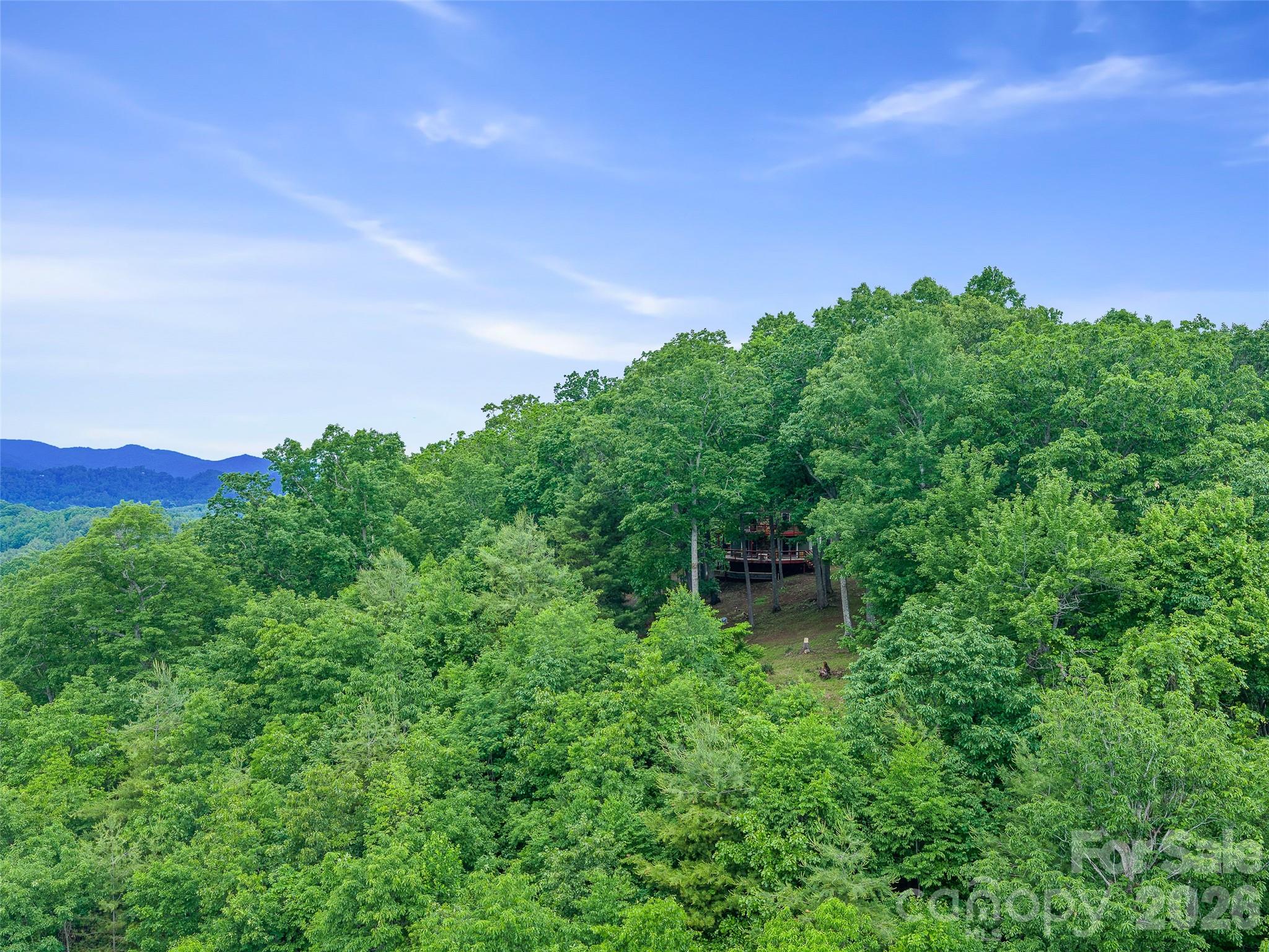 820 Wild Rose Lane Burnsville NC 28714