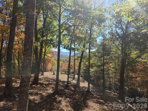 820 Wild Rose Lane Burnsville NC 28714