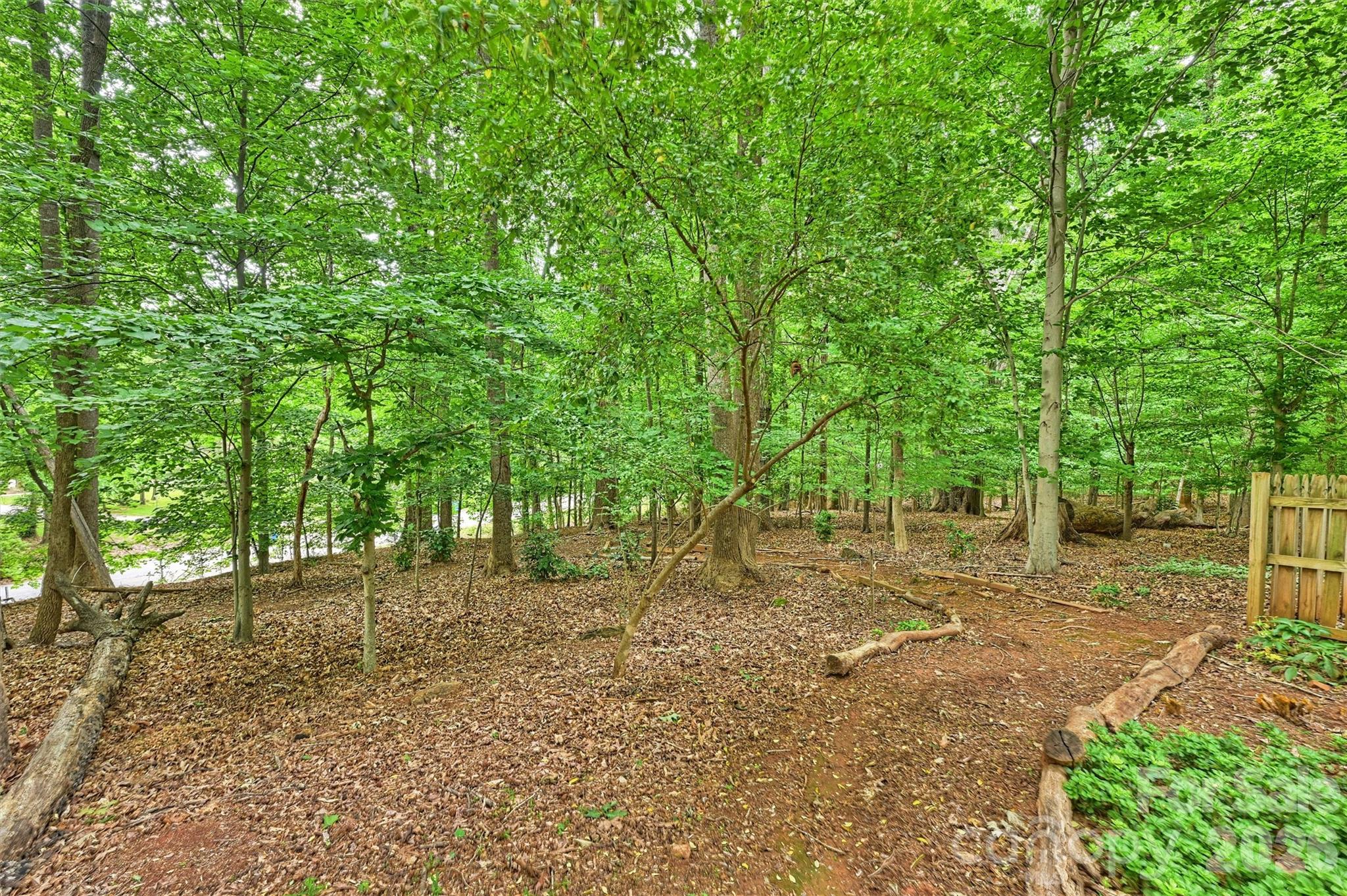 5530 Spearmint Drive Mint Hill NC 28227