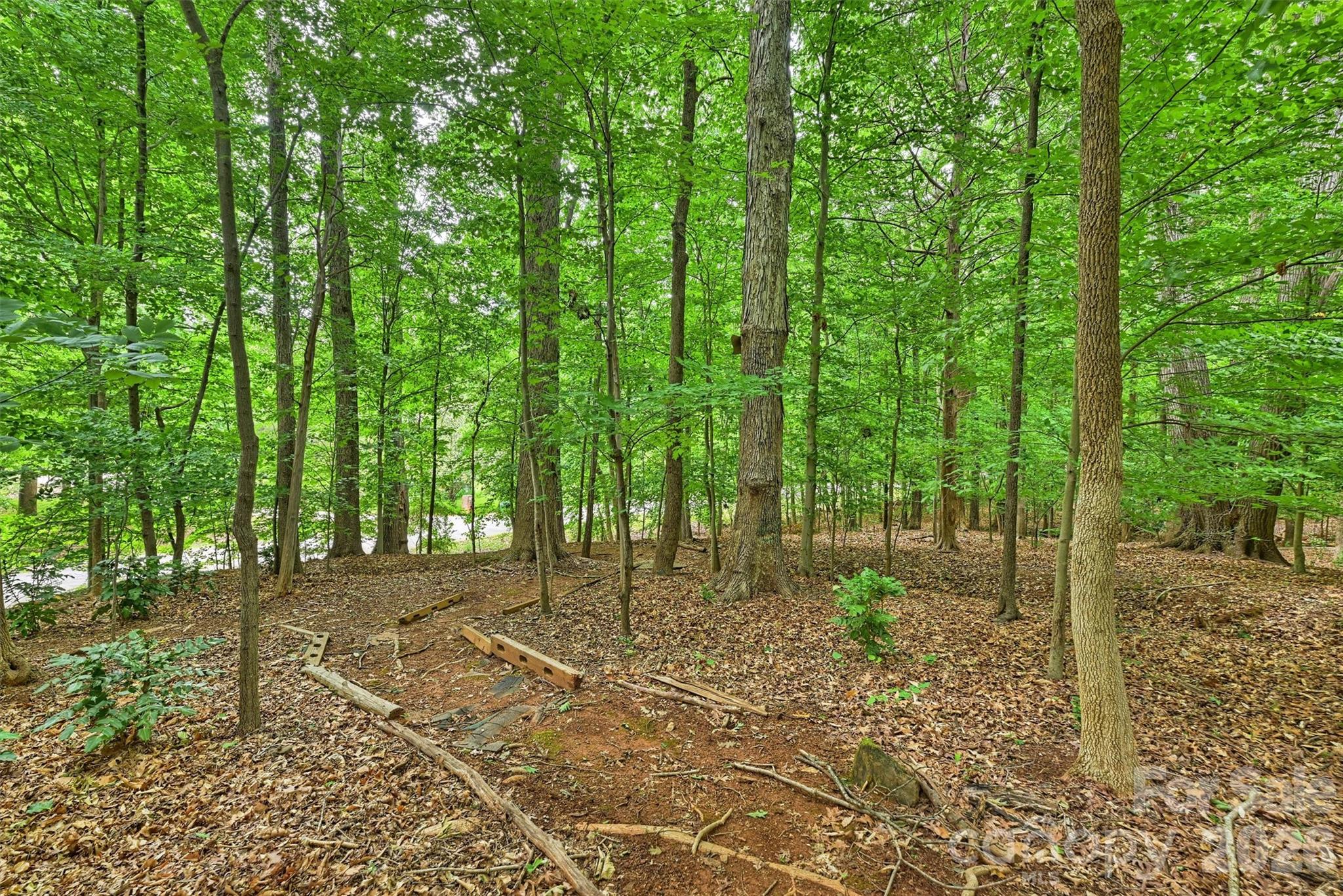 5530 Spearmint Drive Mint Hill NC 28227