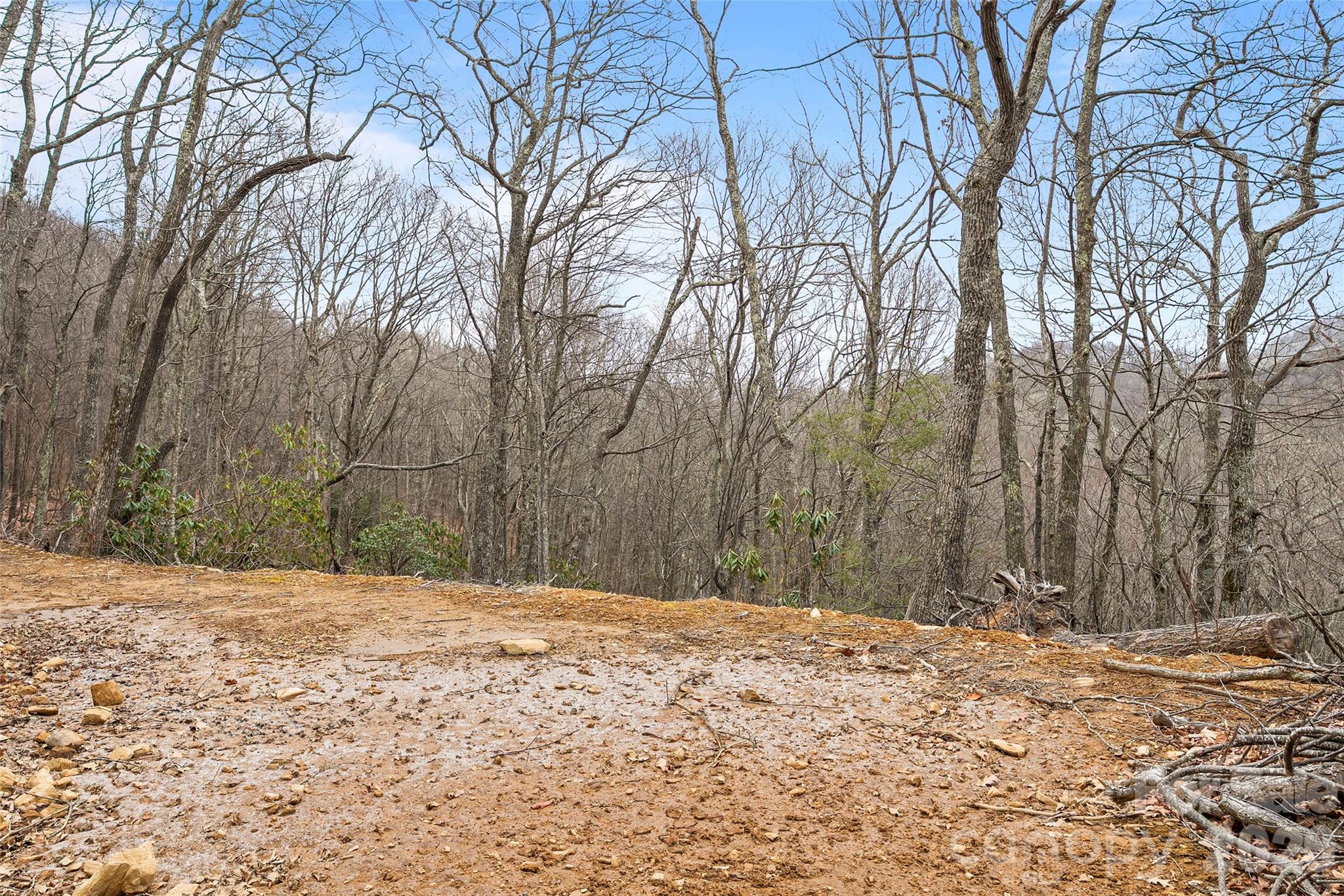 1480 Odalu Trail Maggie Valley NC 28751