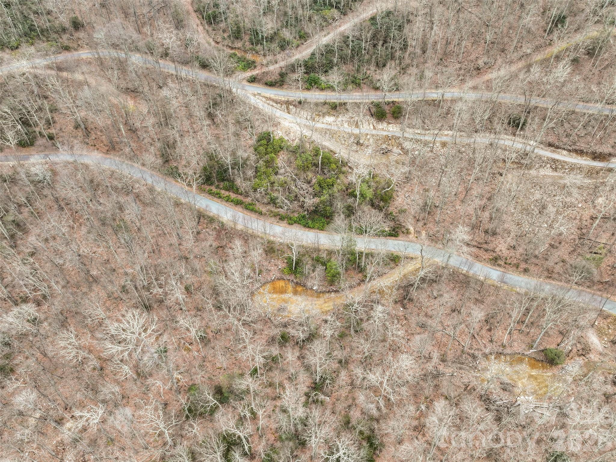 1480 Odalu Trail Maggie Valley NC 28751