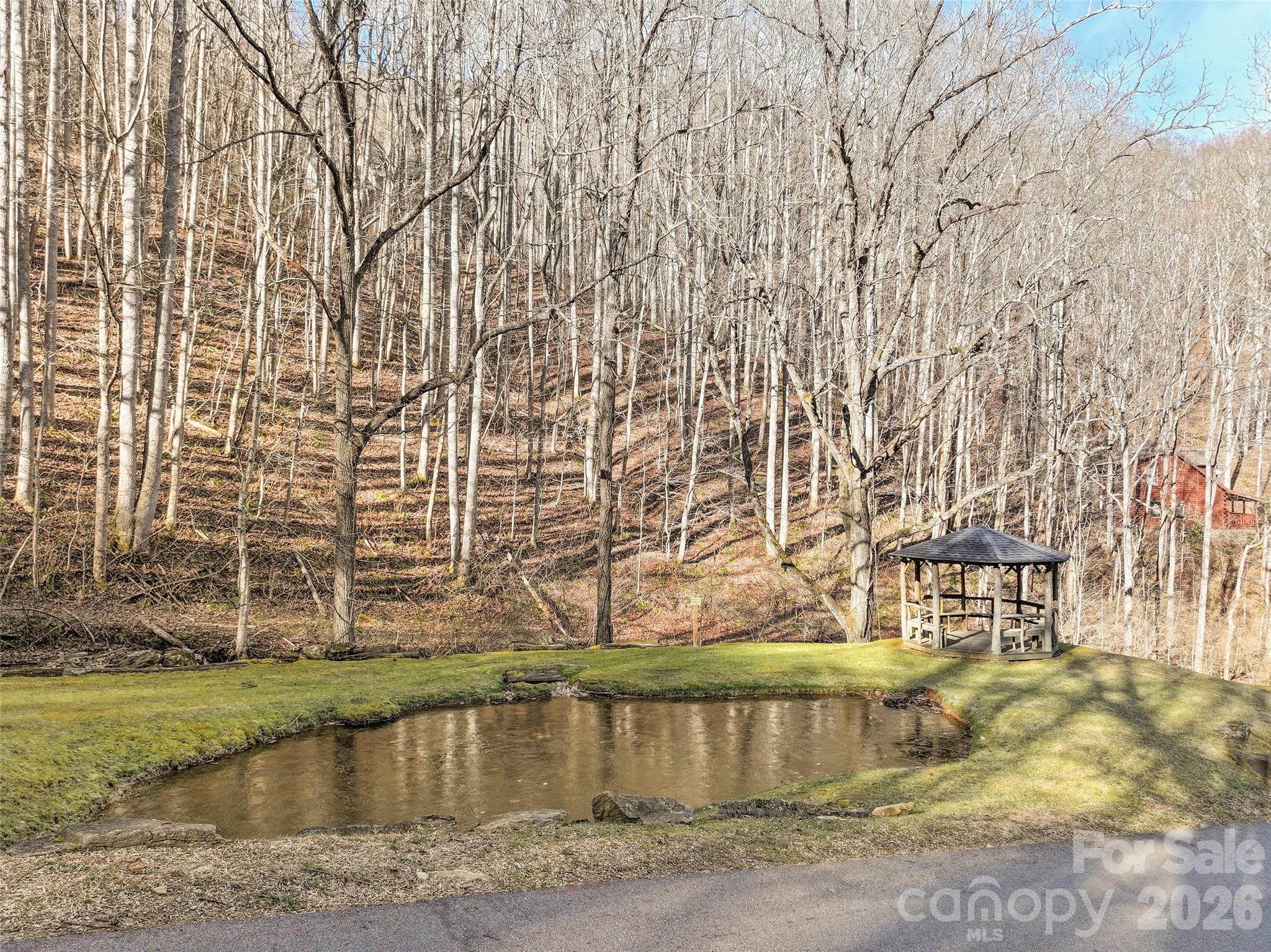 1480 Odalu Trail Maggie Valley NC 28751