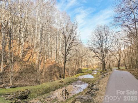 1480 Odalu Trail Maggie Valley NC 28751