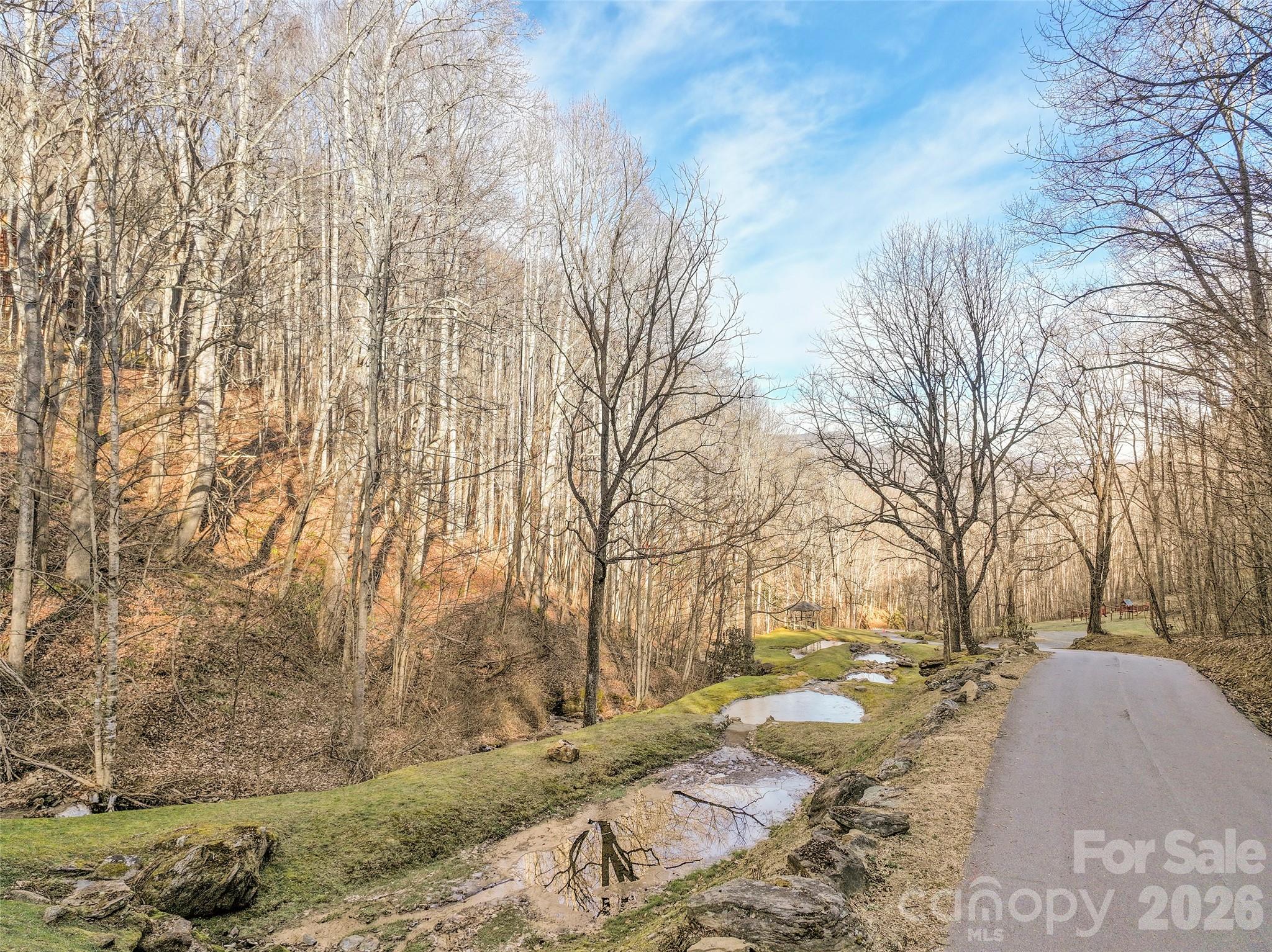 1480 Odalu Trail Maggie Valley NC 28751