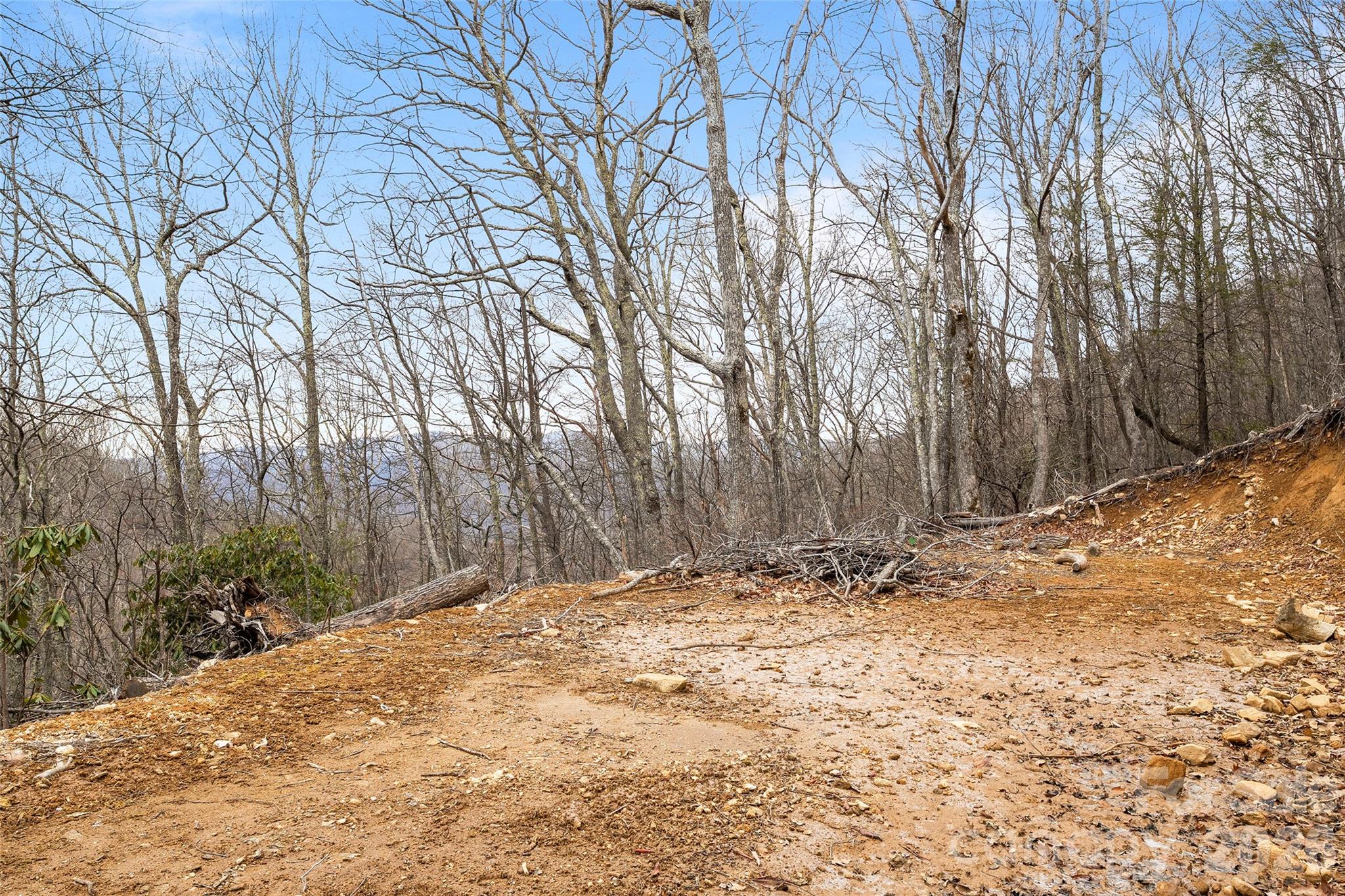 1480 Odalu Trail Maggie Valley NC 28751