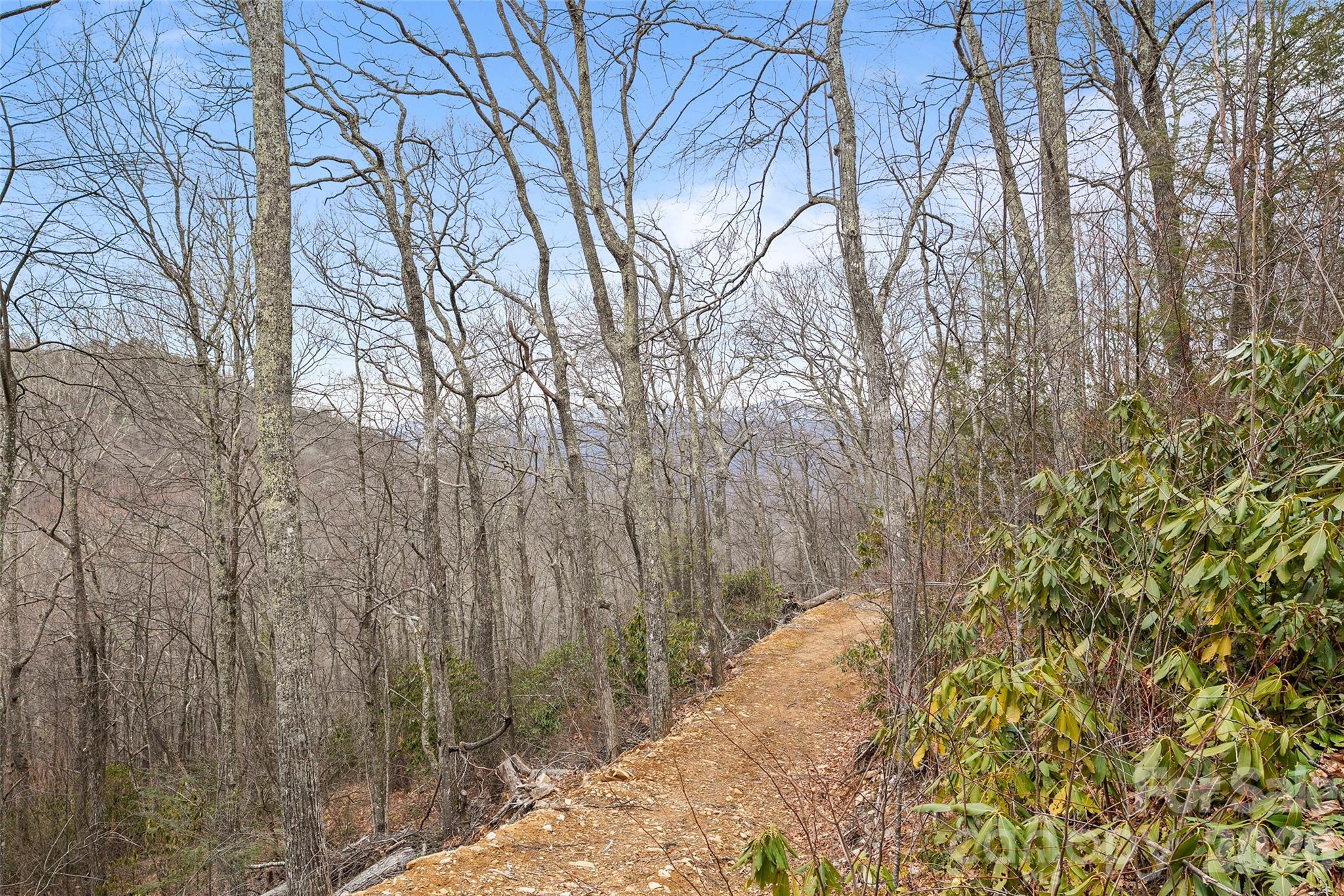 1480 Odalu Trail Maggie Valley NC 28751