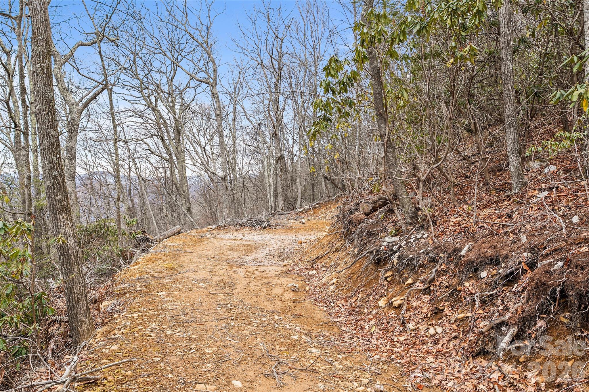 1480 Odalu Trail Maggie Valley NC 28751