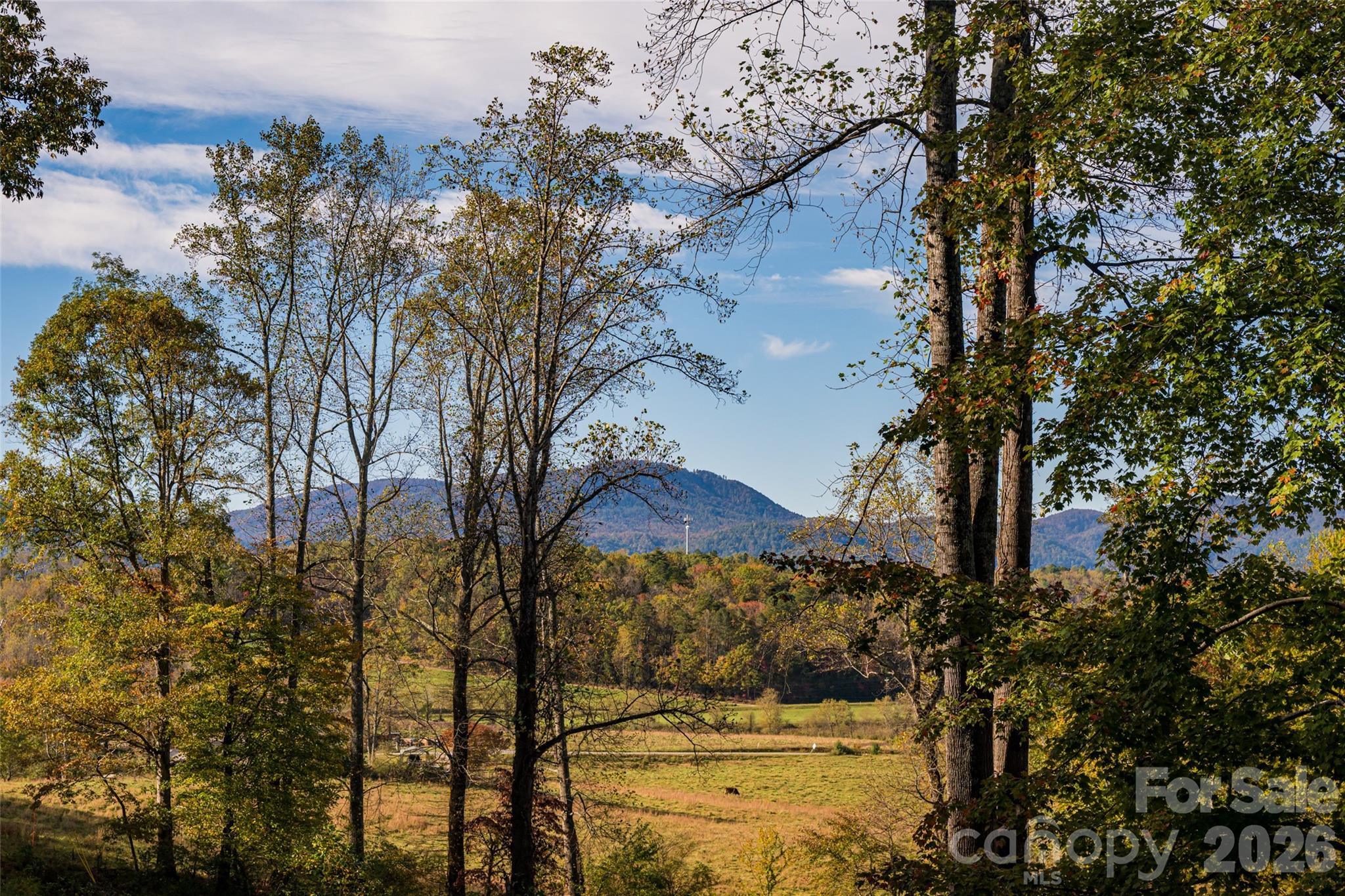 1487 Golf Course Road Old Fort NC 28762