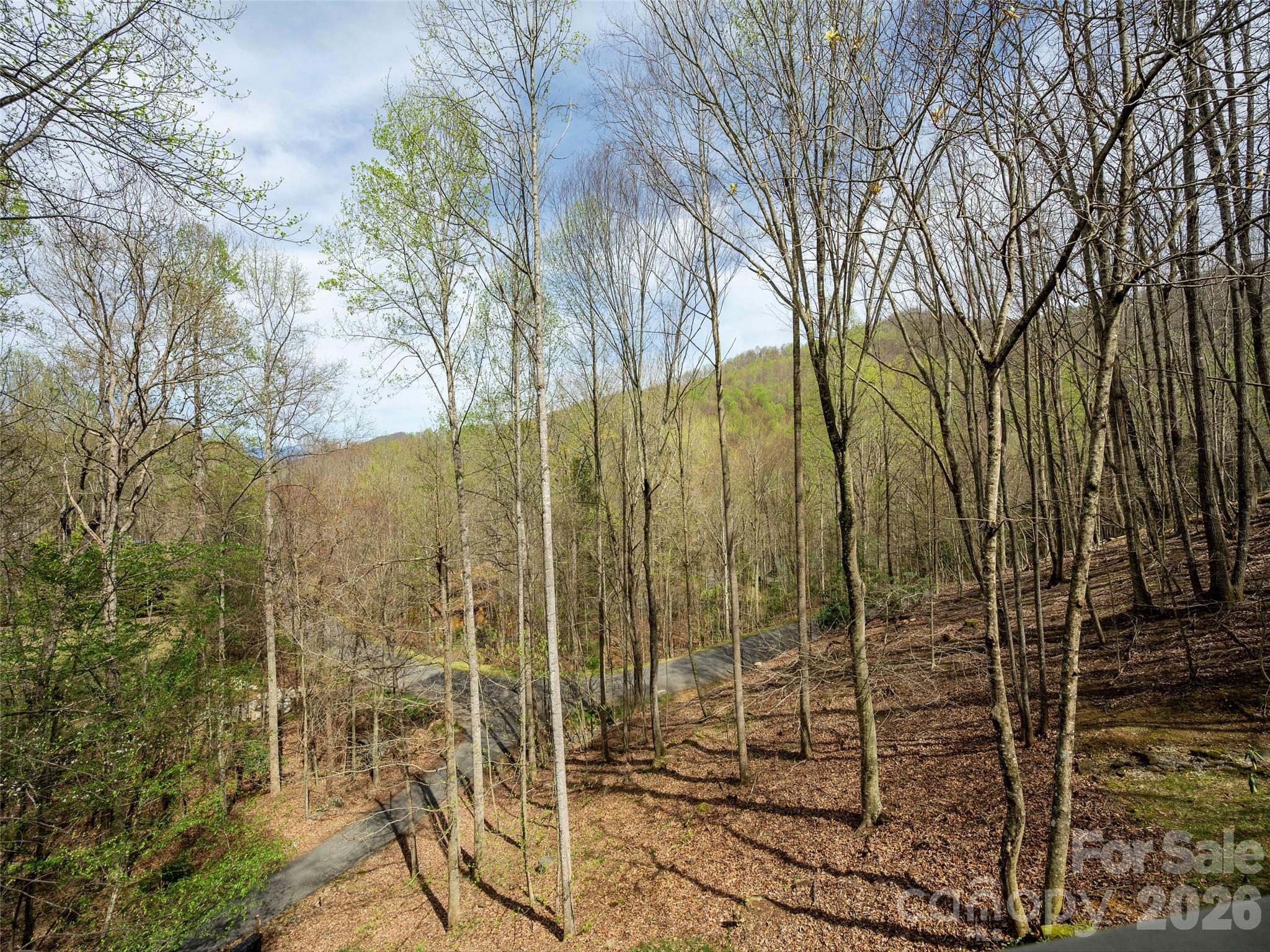 417 Blue Mist Way Arden NC 28704