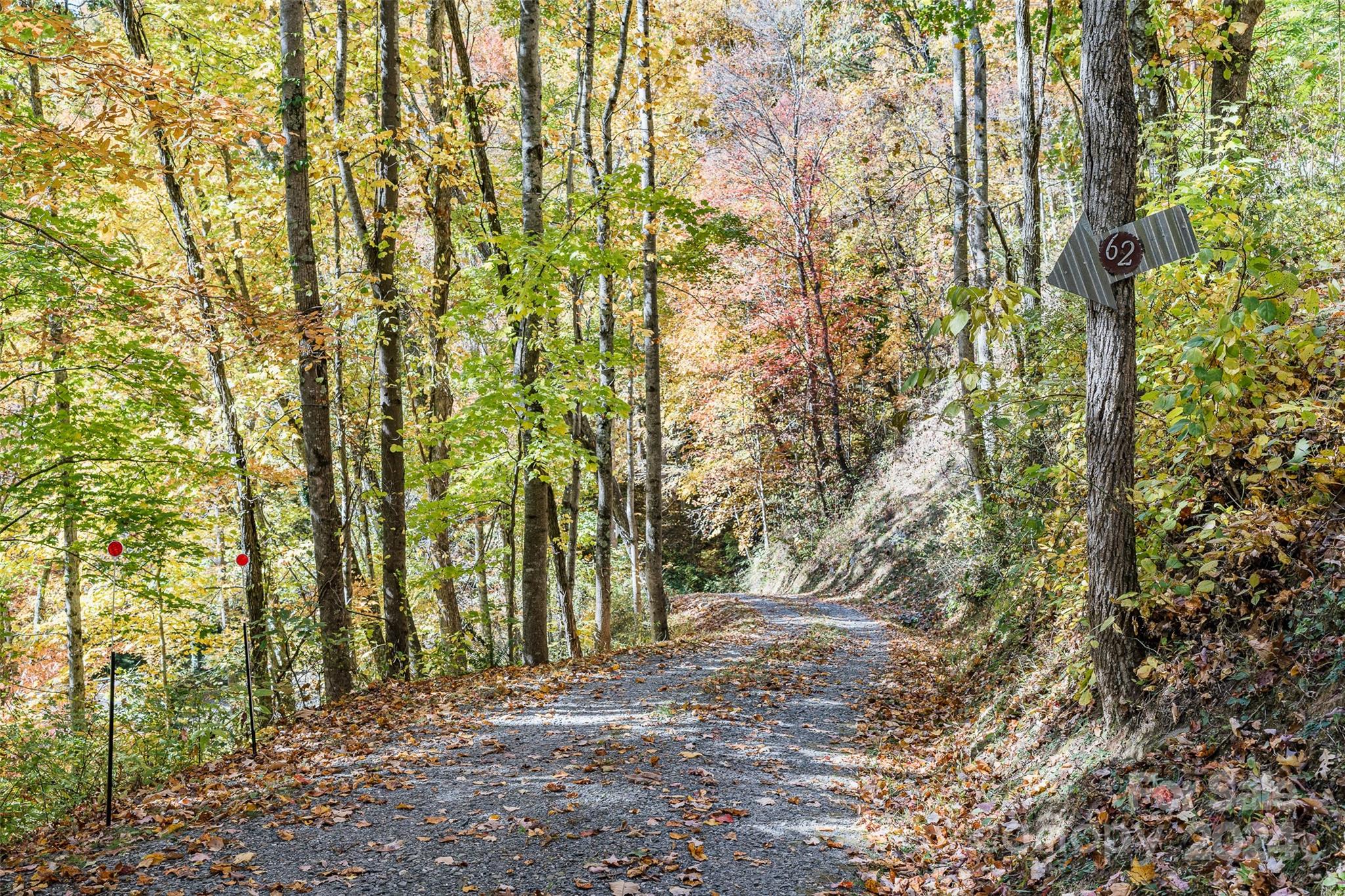 62 Weeping Cherry Forest Road Fairview NC 28730