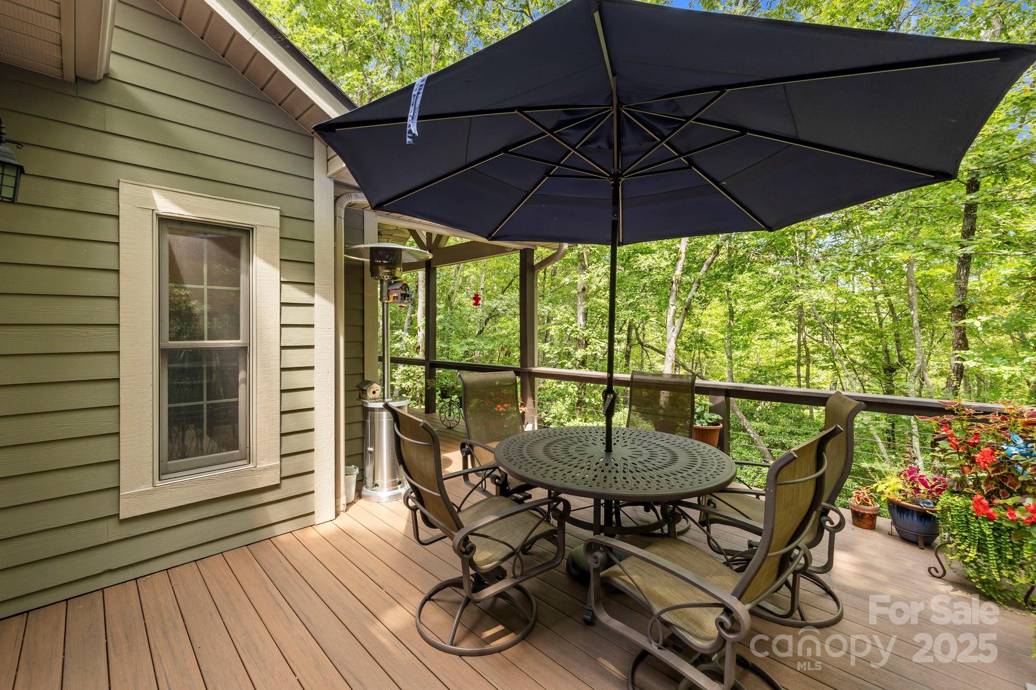21 Waga Court Brevard NC 28712