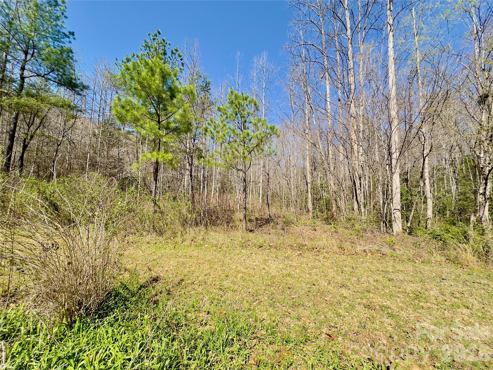 592 Liberty Church Road Marion NC 28752
