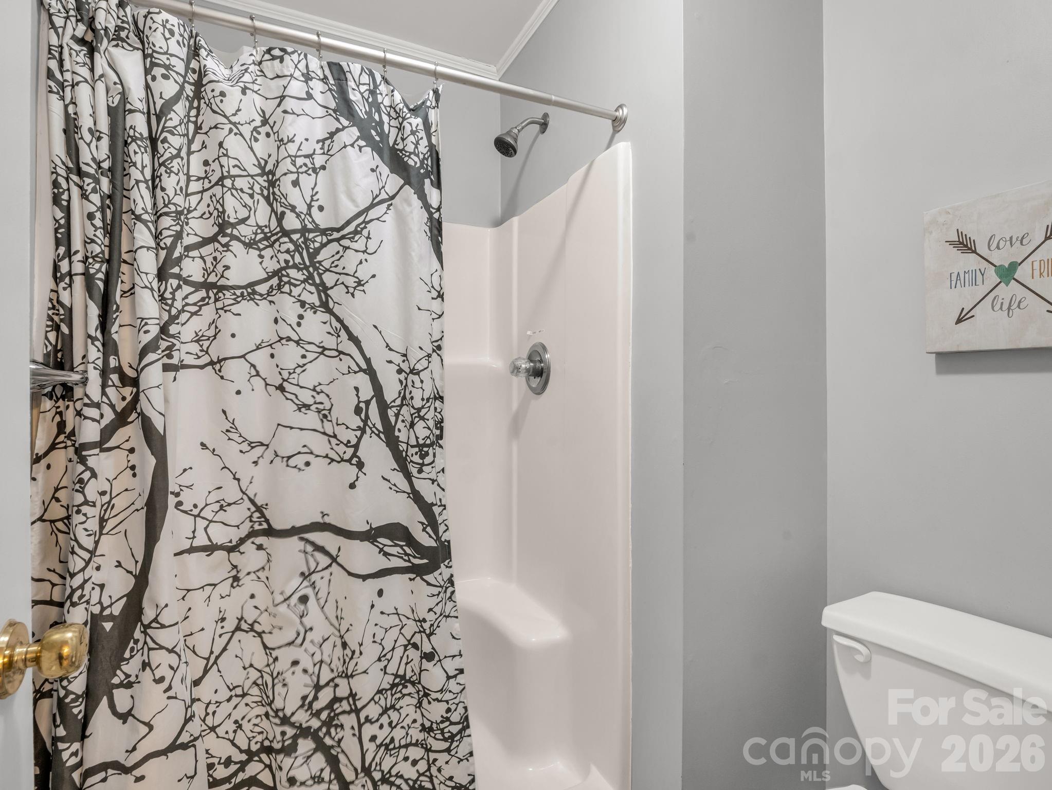 108 Nuthatch Trace Brevard NC 28712